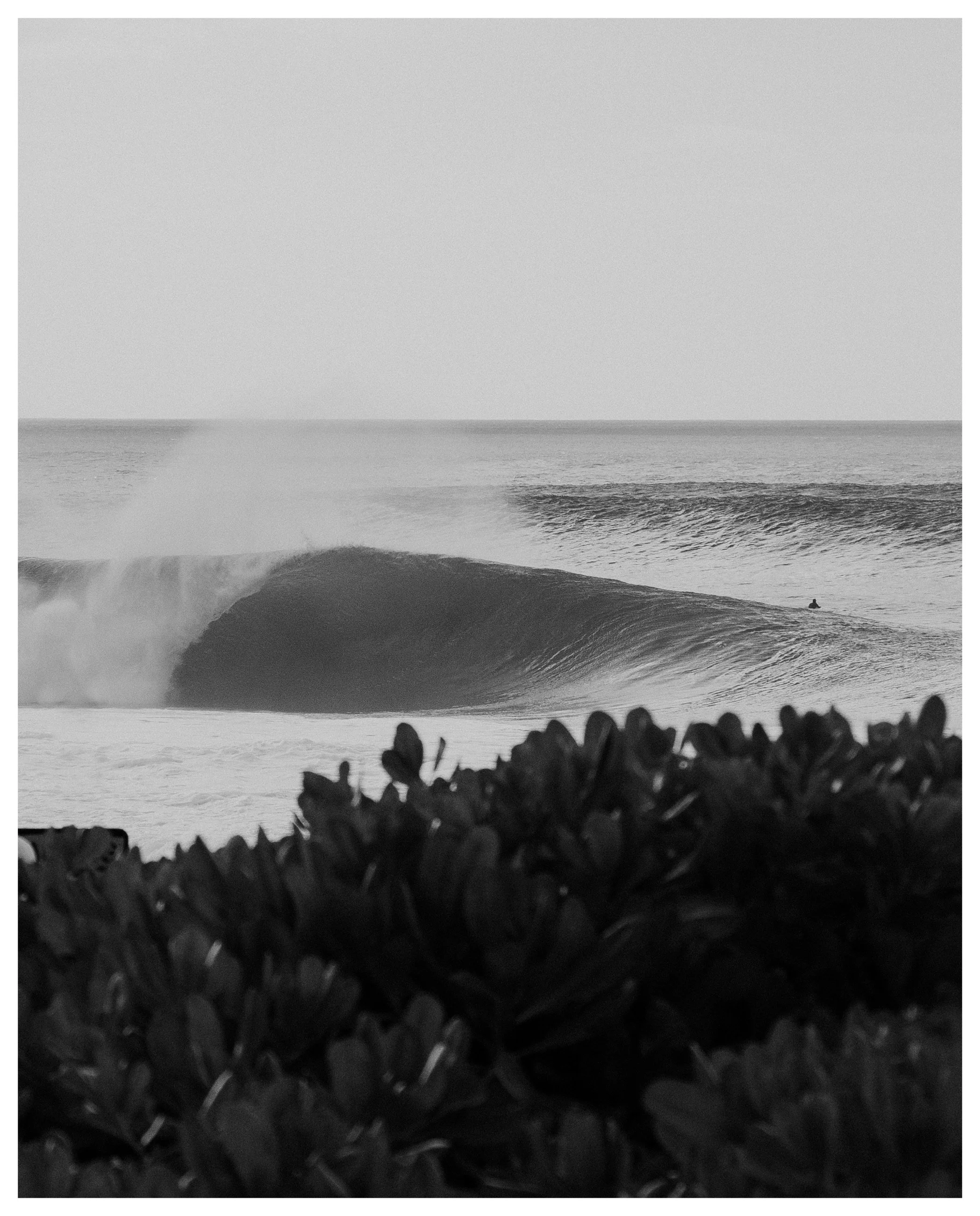 AfterlightImage 740.JPG