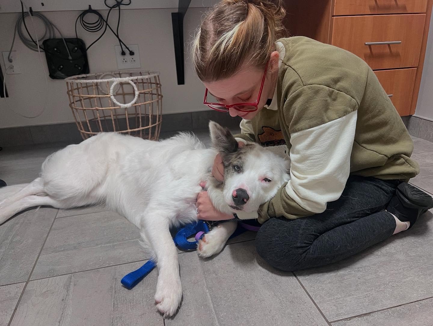 Last week was hard. Grief hit in a lot of ways. My puppy got hurt (he&rsquo;s aok now). I got some devastating news. I had big moves around weddings and school and my life happening. It was hard to be present and hard to post anything. I&rsquo;m very