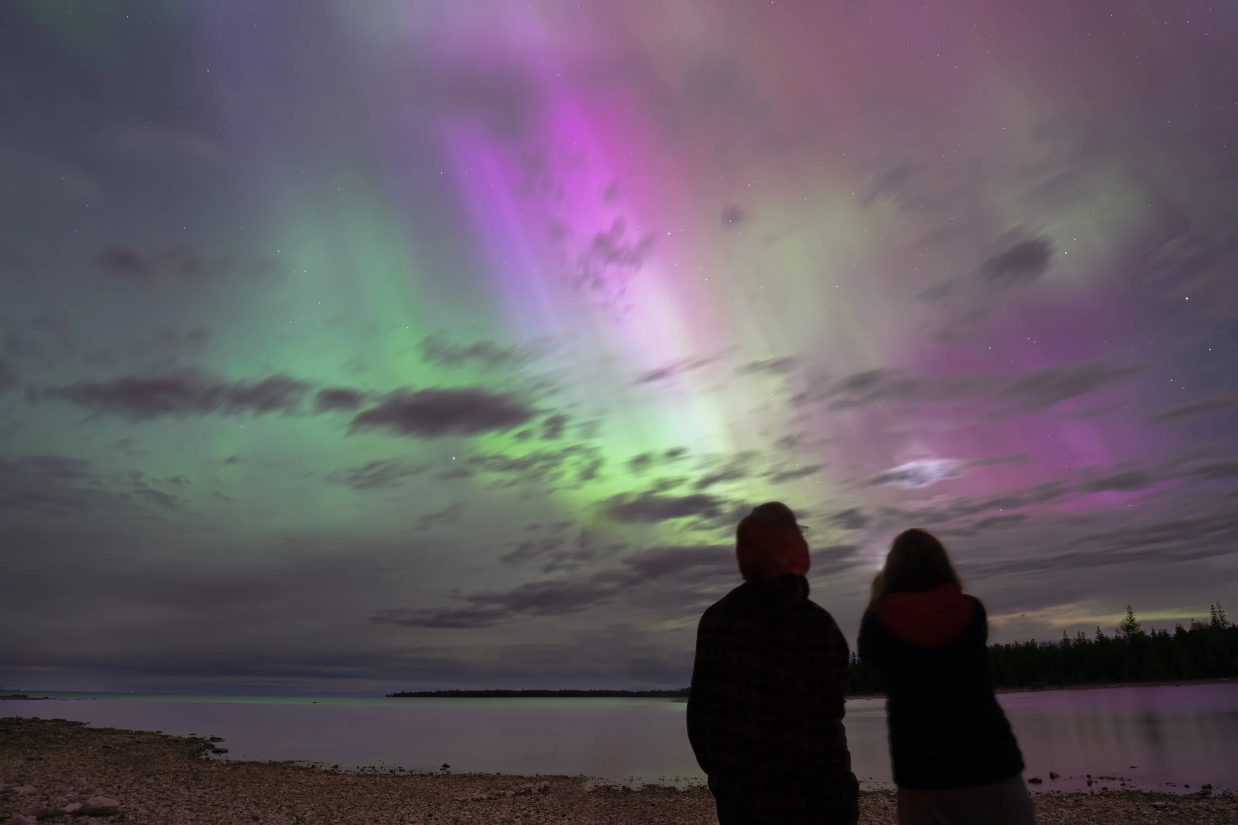 Davison Aurora Cell Lot Thumb.jpg