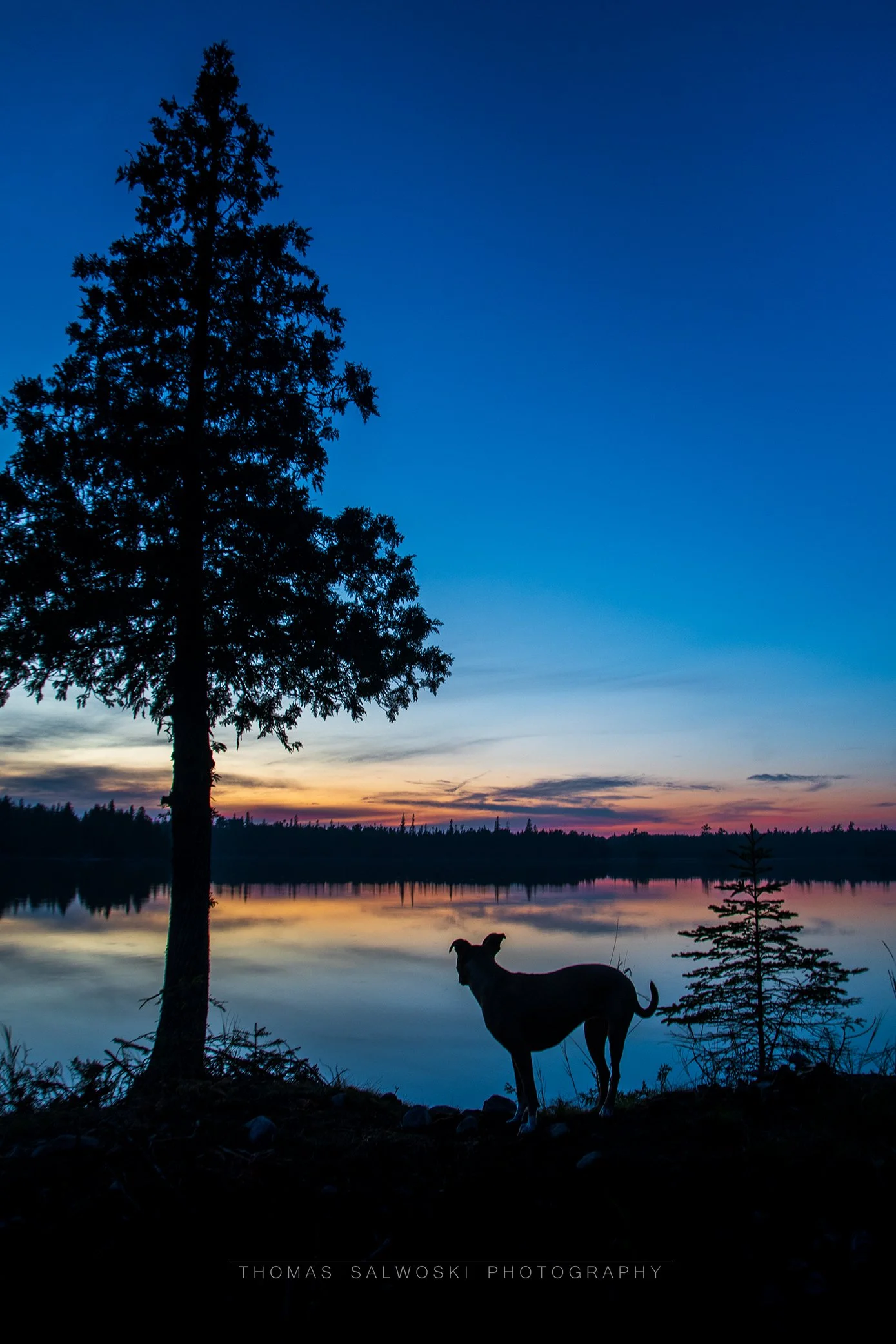 Blue Hour Samara WM.jpg