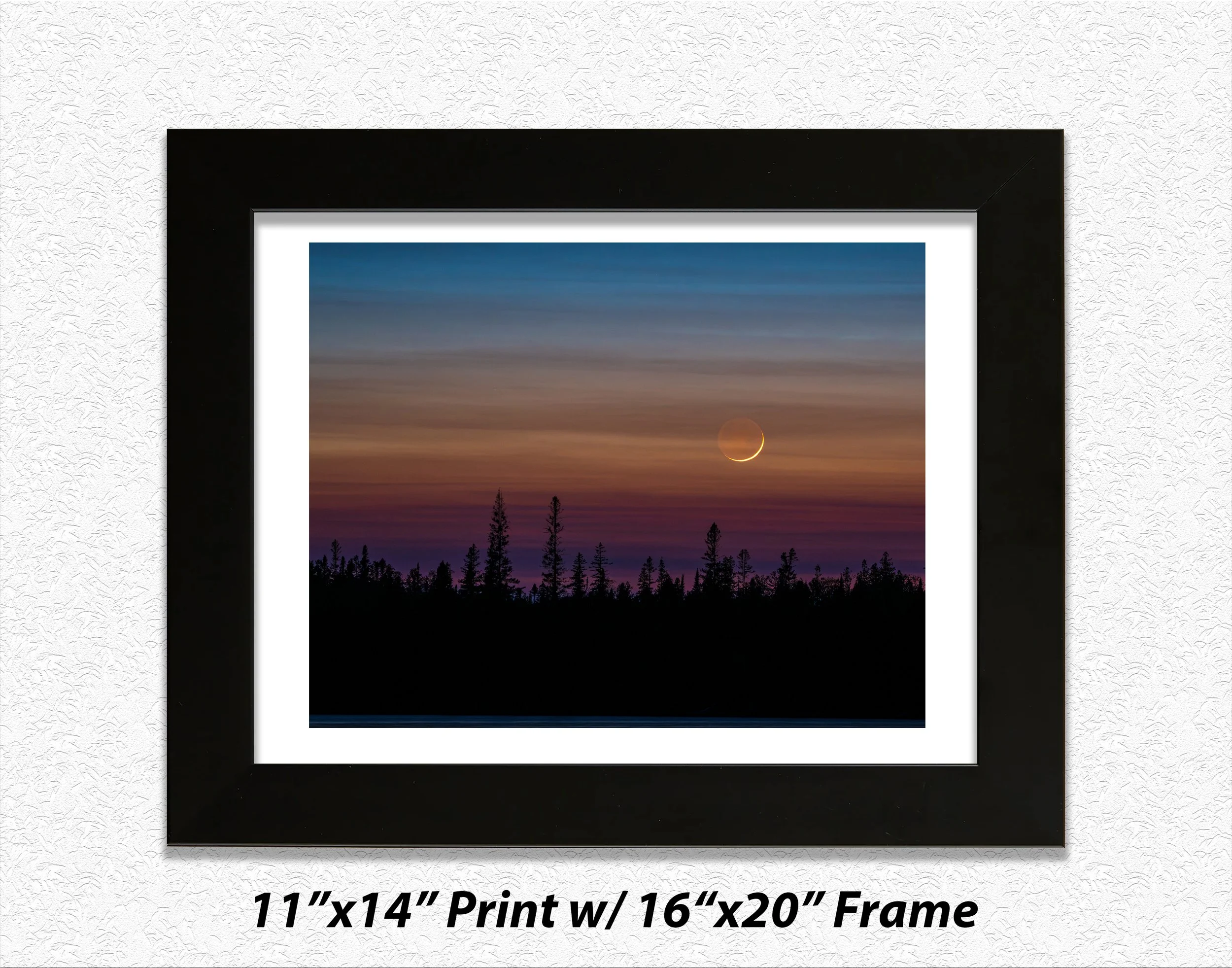 11x14 Print with Mat 16x20 frame.jpg