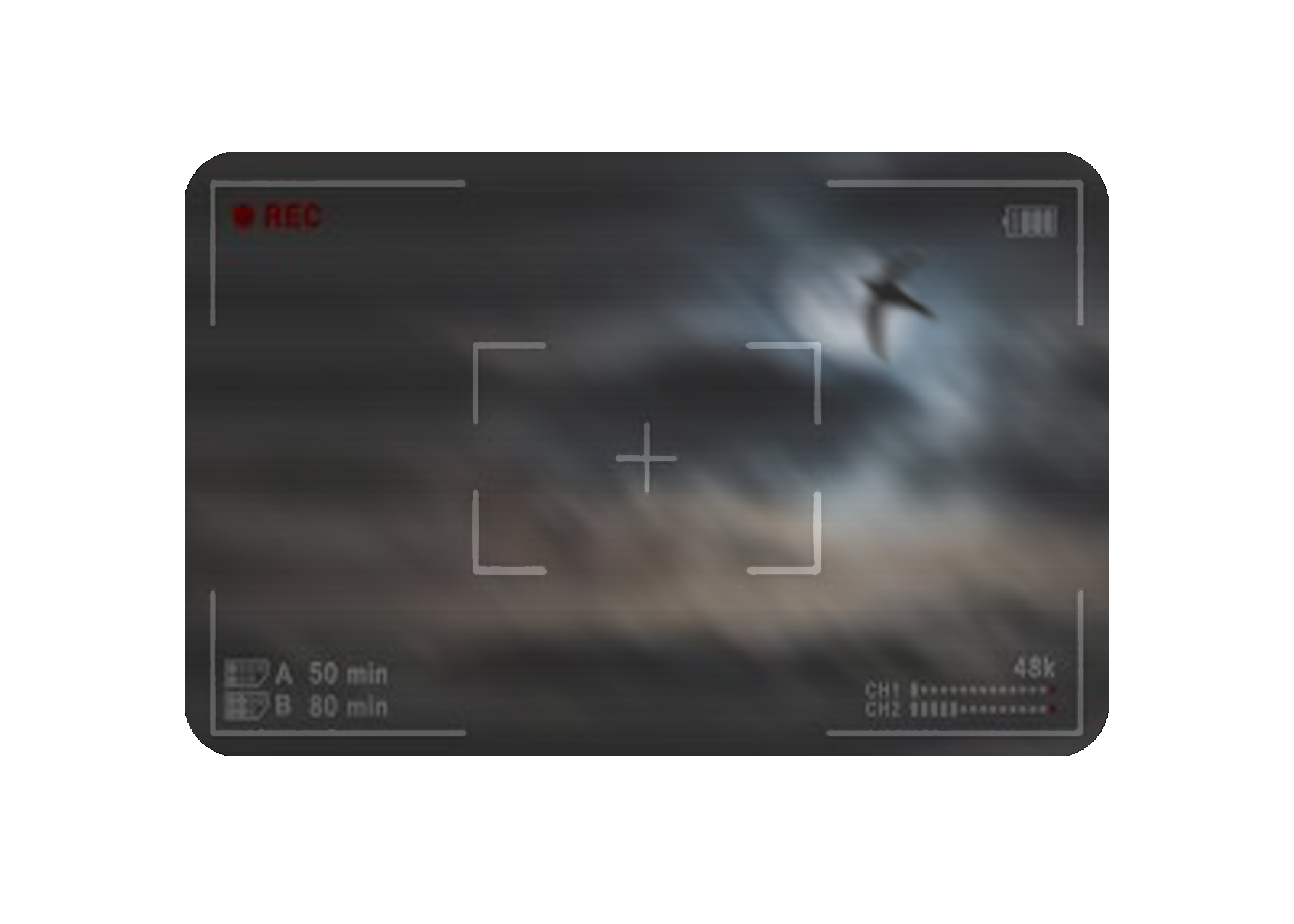 Sighting card flying creature.png