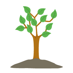 icon_Half Grown Tree.png