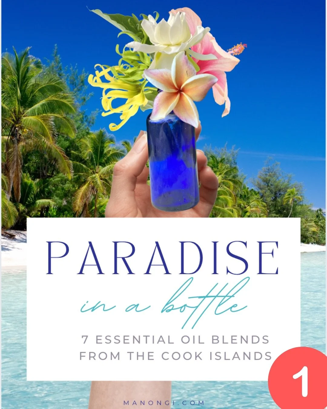 😃 Hey guys I need your help for my freebie booklet :

✨ PARADISE IN A BOTTLE: 7 Essential oil blends from the Cook Islands✨

🌺 WHICH COVER SHOULD I CHOOSE?