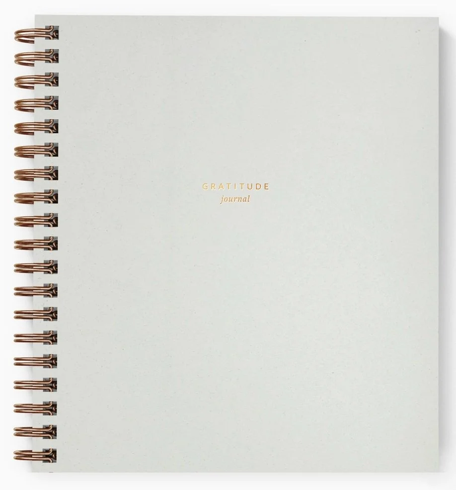 Mini Gratitude Journal in Chalk White