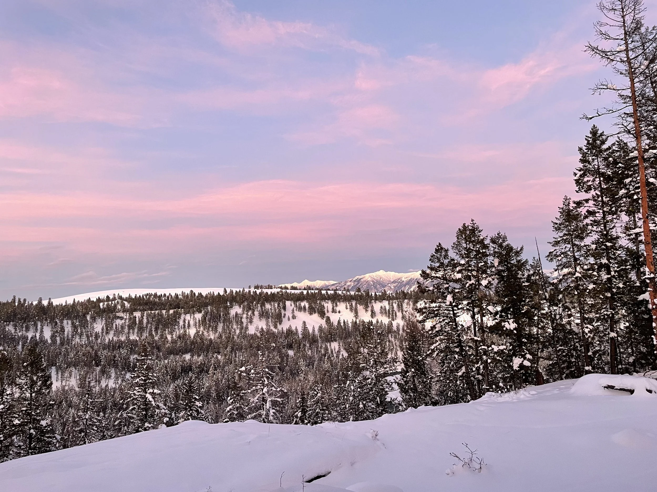 Three questions for 2026