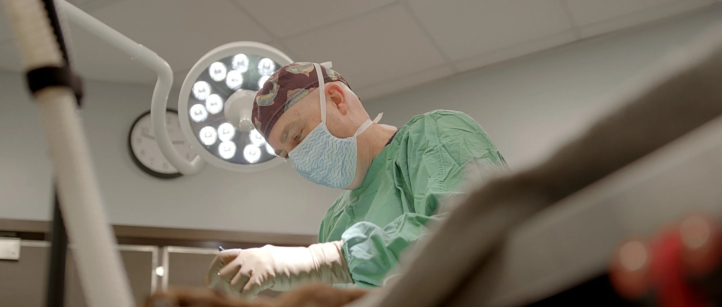The Veterinarian Cooperative