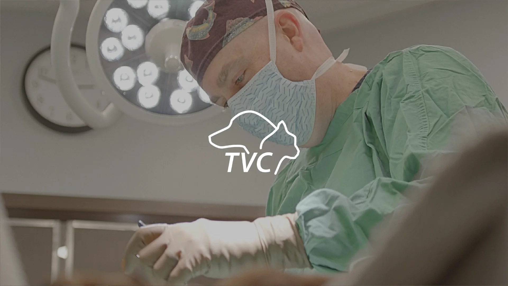 The Veterinarian Cooperative