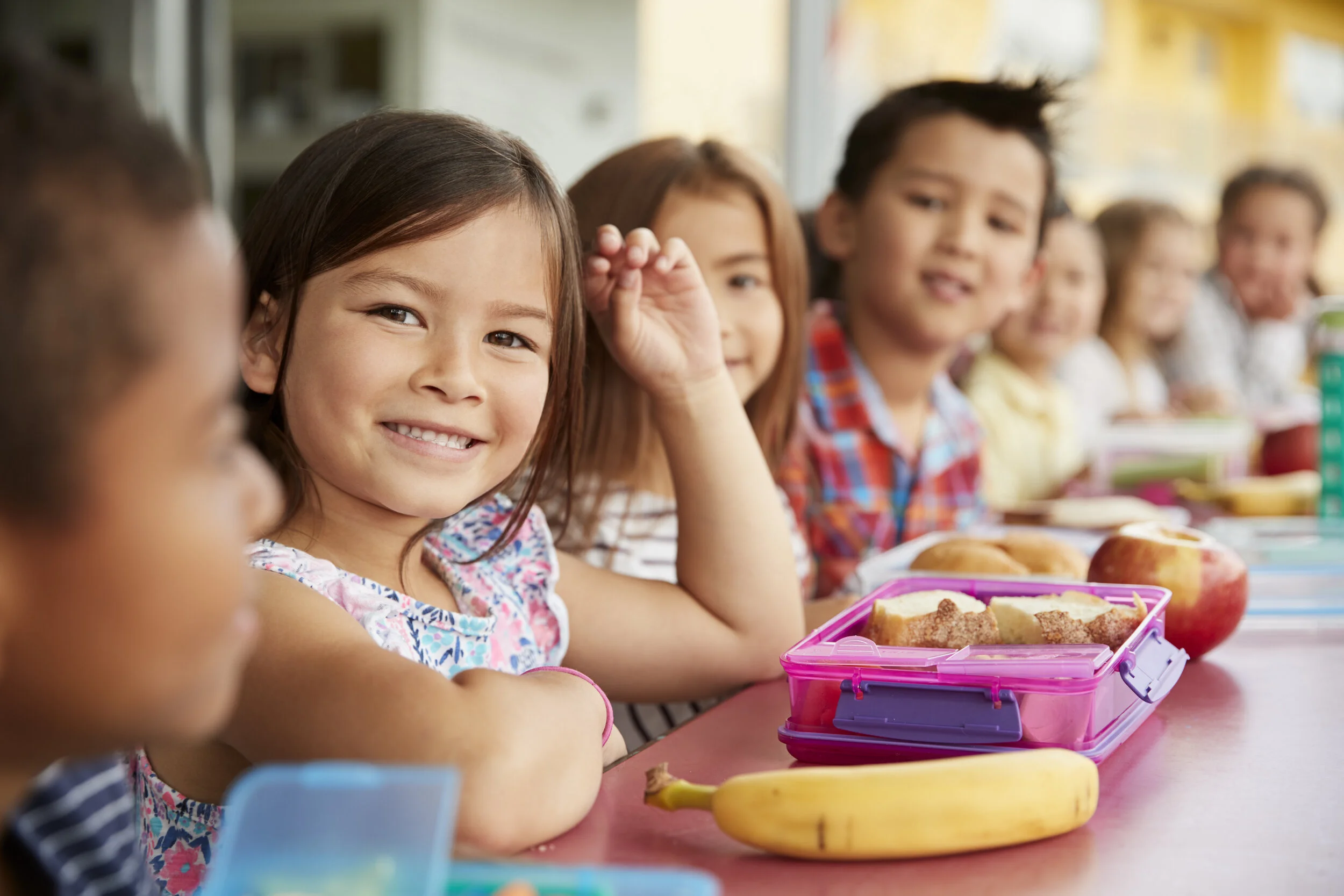 DOE: Free School Lunch