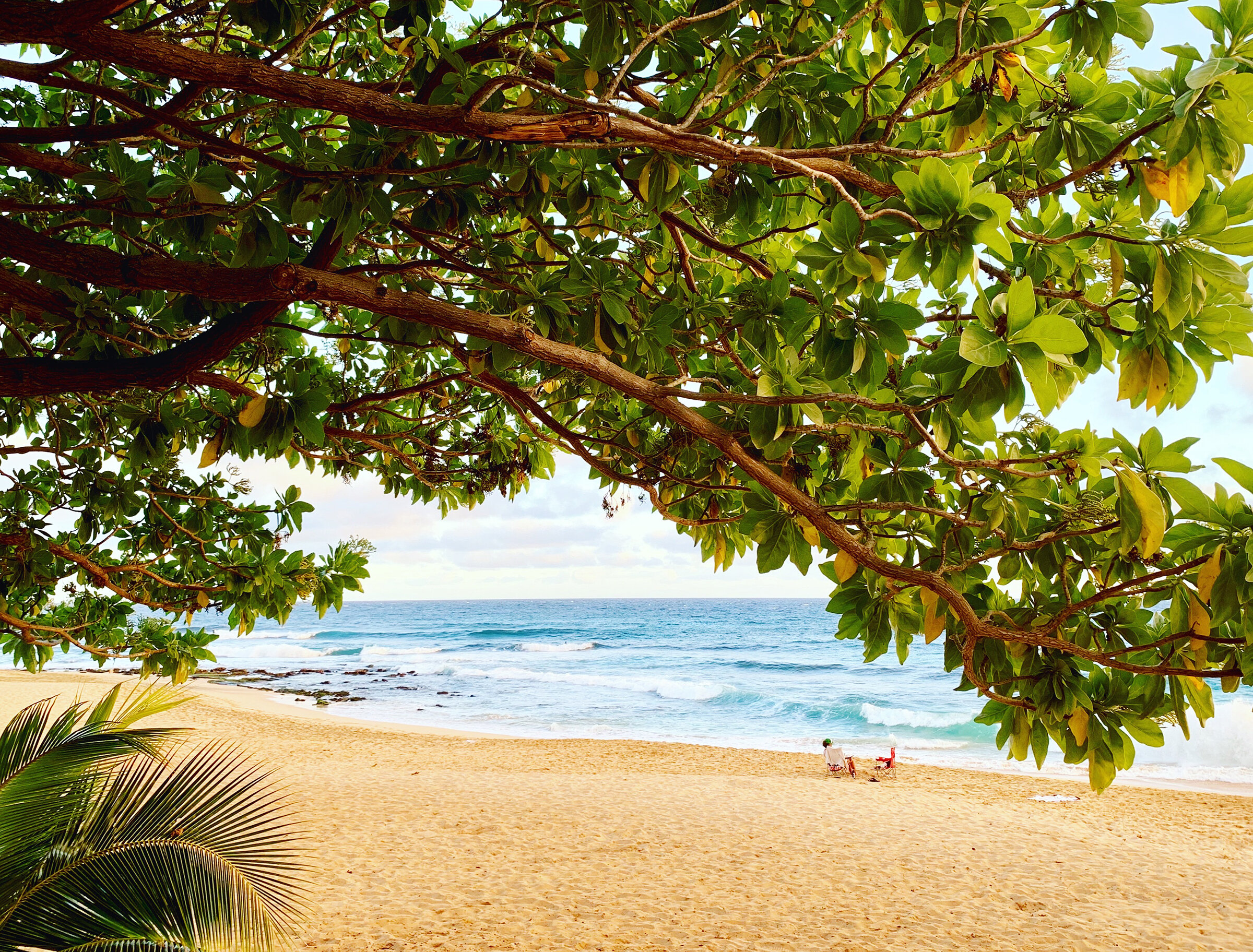 Coping with COVID Stress