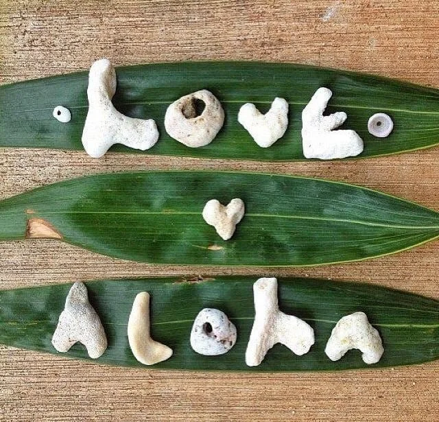 Love + Aloha