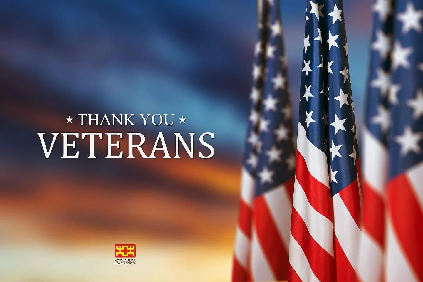 Aloha &lsquo;Ohana!

On this Veterans Day, we celebrate the generations of Americans who fought to defend America&rsquo;s promise - a promise of security, opportunity, and freedom for all.

These brave men and women represent the best of our nation &