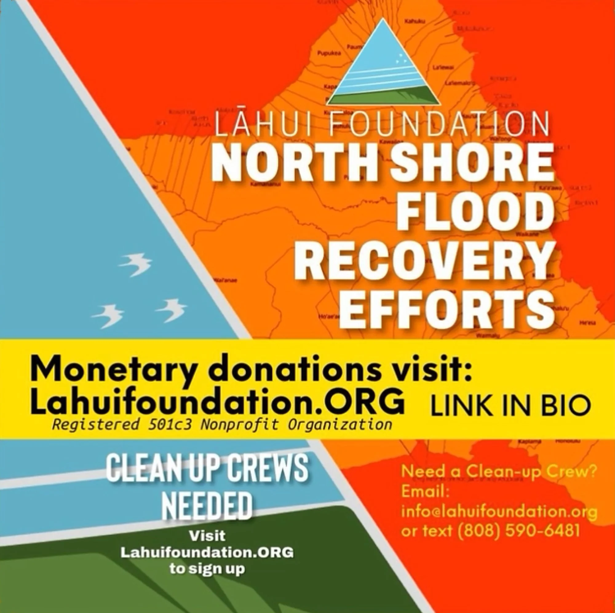 Lahui Foundation PSA