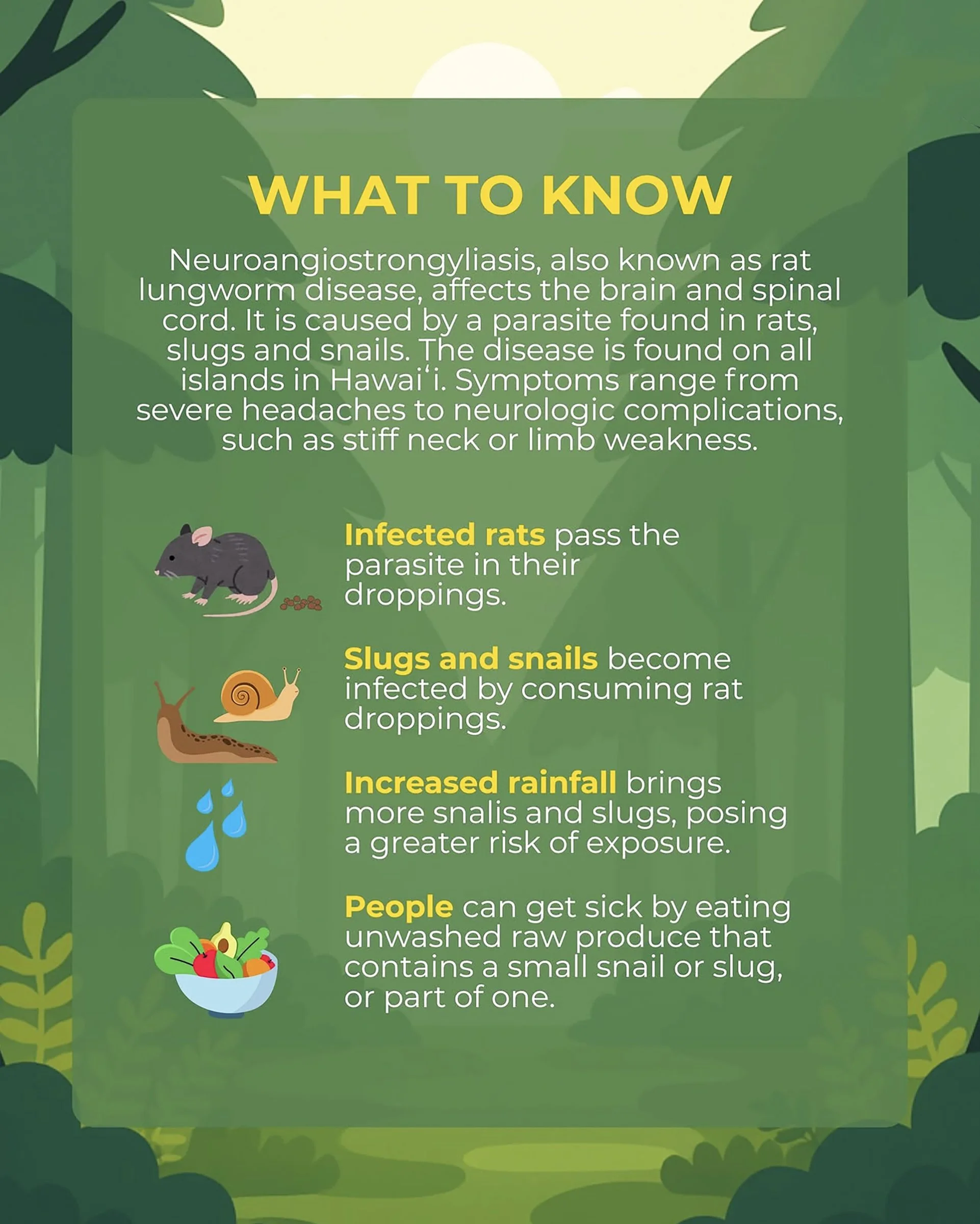 03292026_Rat Lung PSA 2.jpg