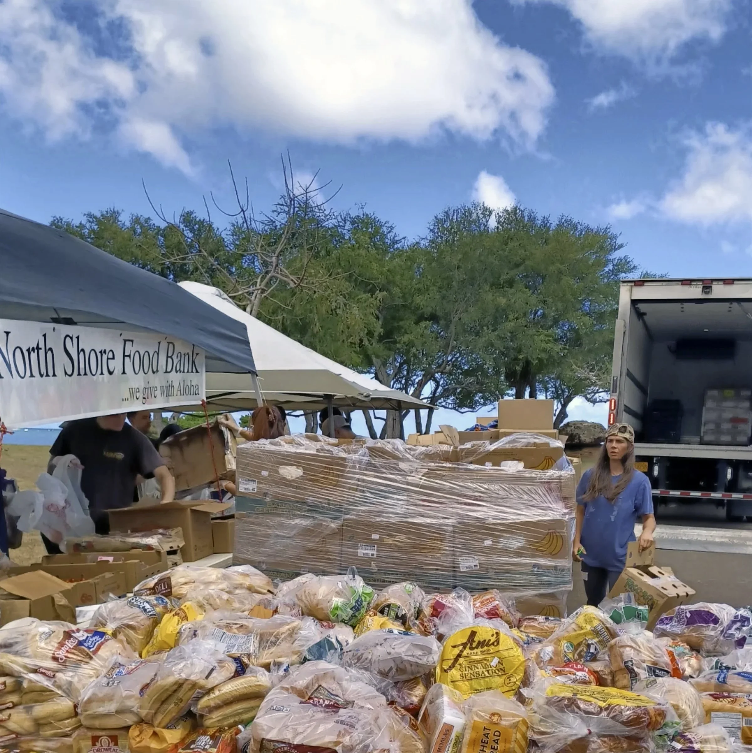 NS Foodbank