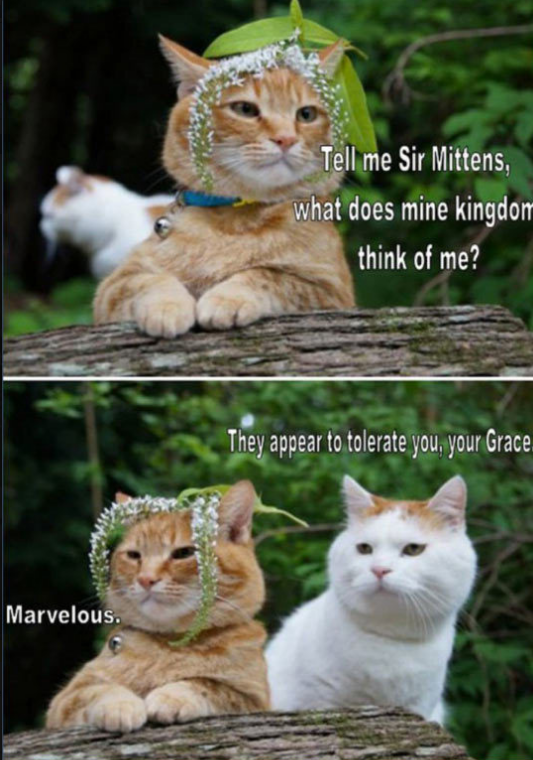 Sir Mittens 01.png