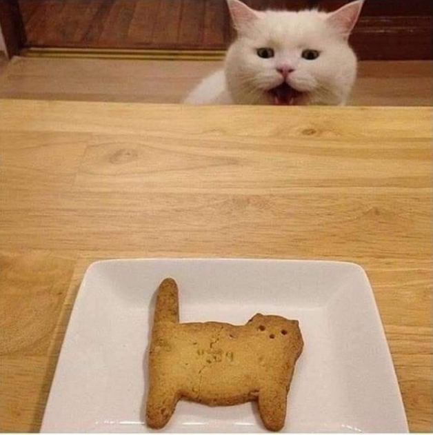 Cookie cat.PNG