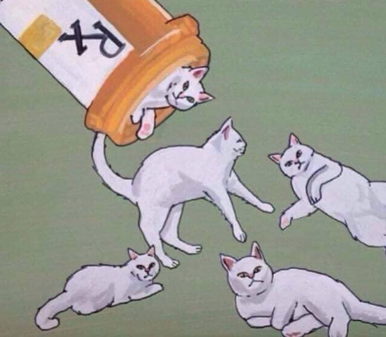 Prescription cat.PNG