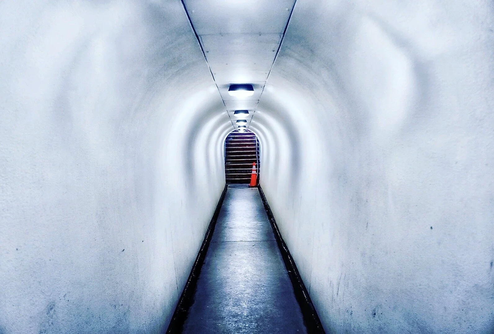 12.15.20 Merion Station
(See more in Collection: Tunnels)