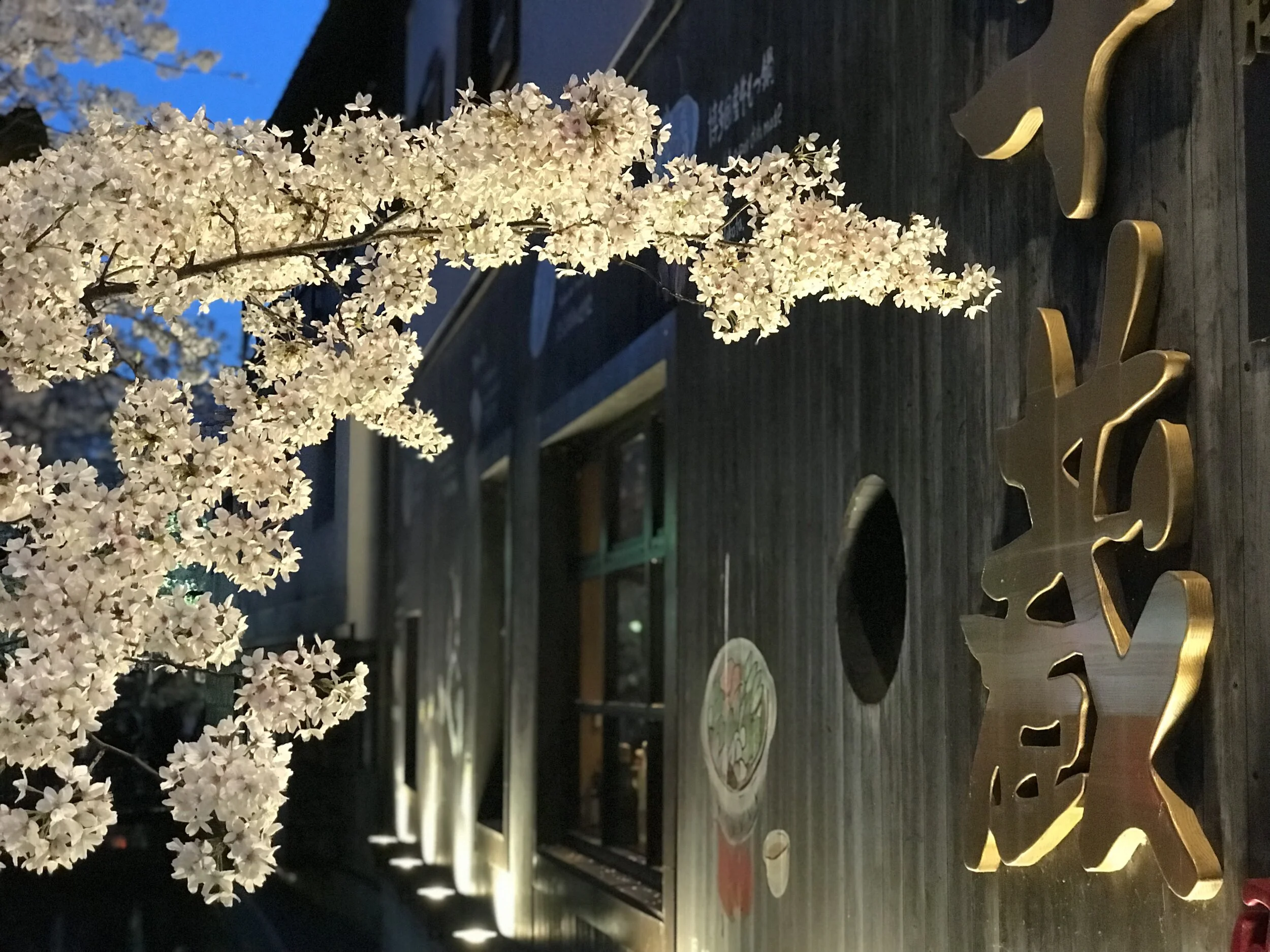 Kyoto
