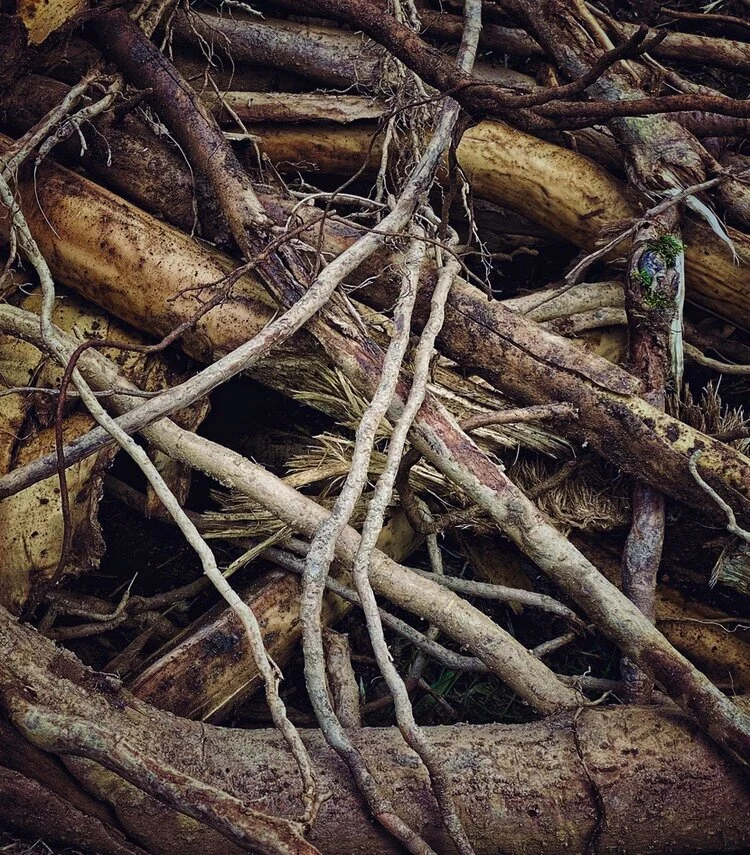 12.27.20 (For more see Collection: Texture)