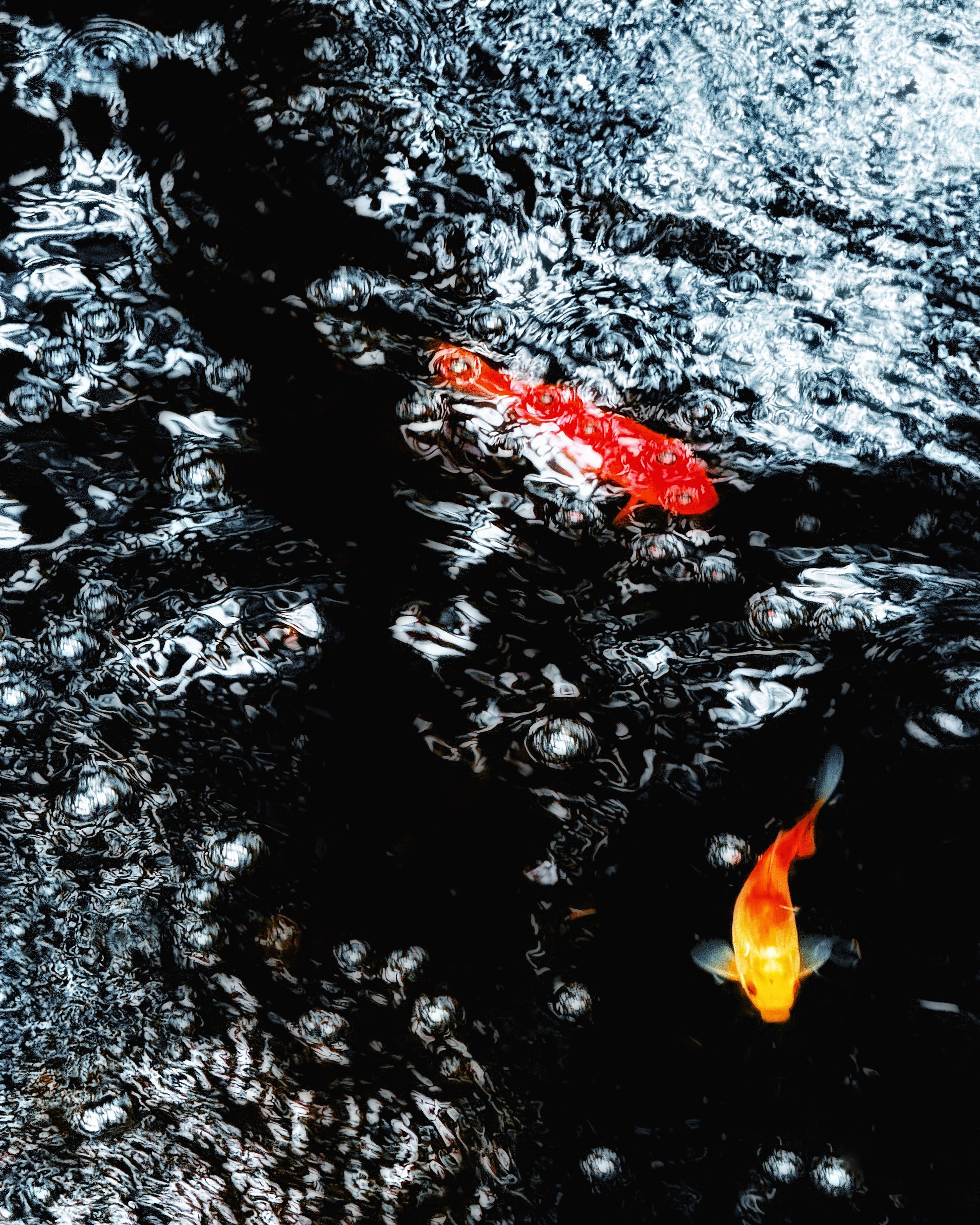 1A178D9A-076B-44FA-9531-8D969F458F1A.jpeg
