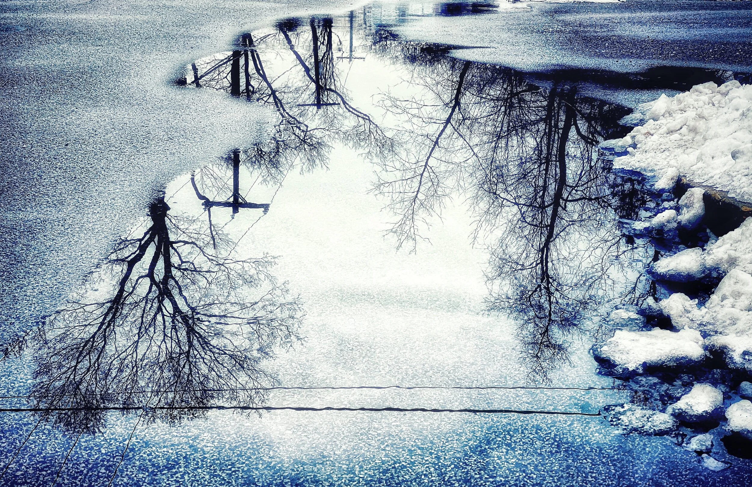 021421 (This is one of my favorites. The reflection of the trees in the puddle is so crisp and the puddle almost feels like a lake.)