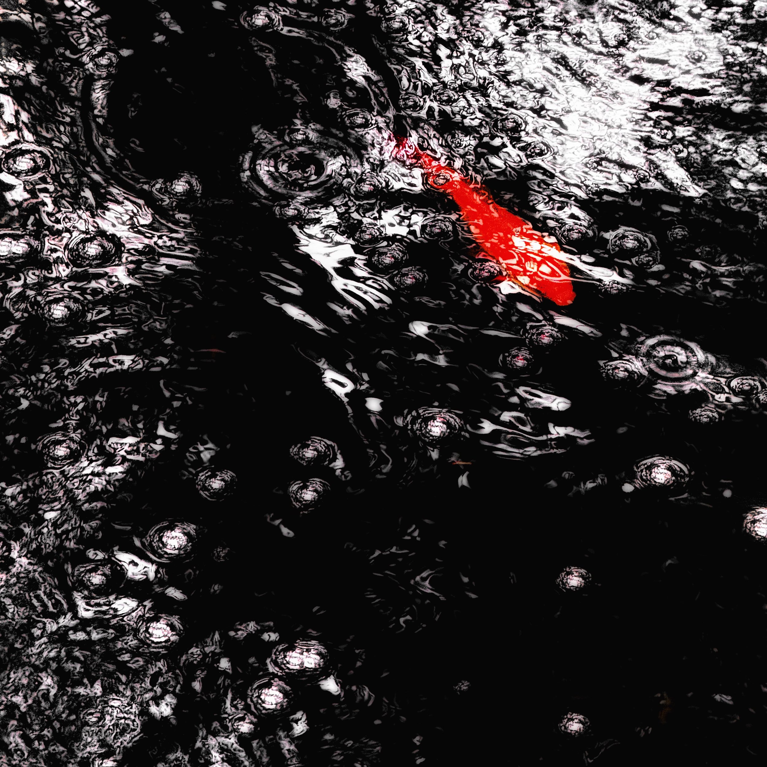 A89DCB75-C547-4361-9DEB-B5B40777CB2F.jpeg