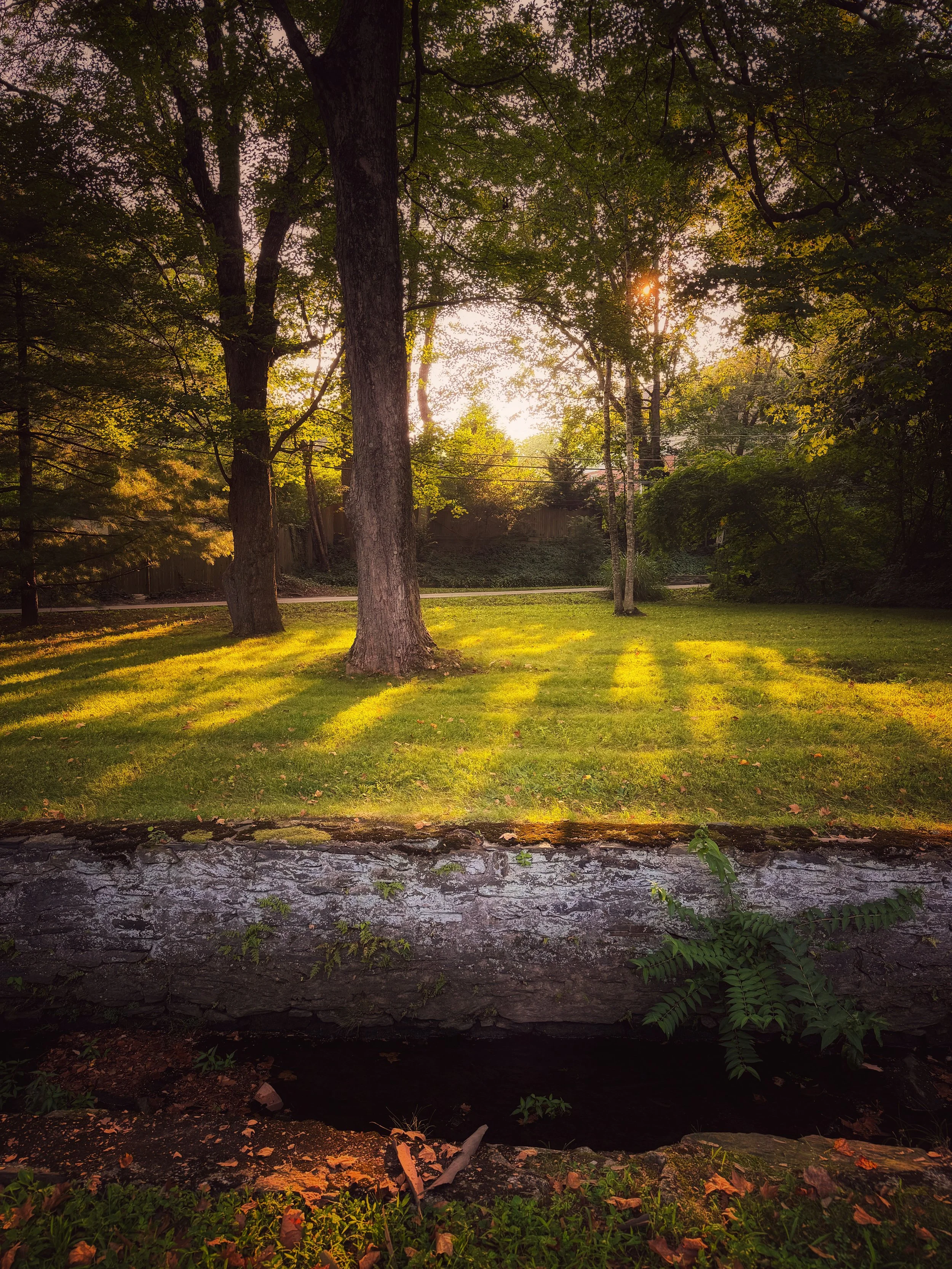 4688C65D-7D94-495B-B6B5-458464F0765F.jpeg