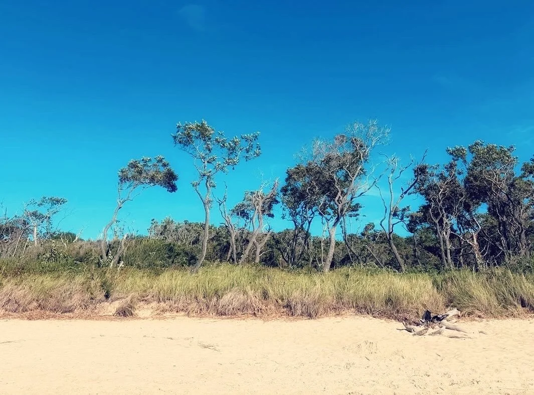 55E1D7AB-2147-485C-A38D-C26F9682160D.jpeg
