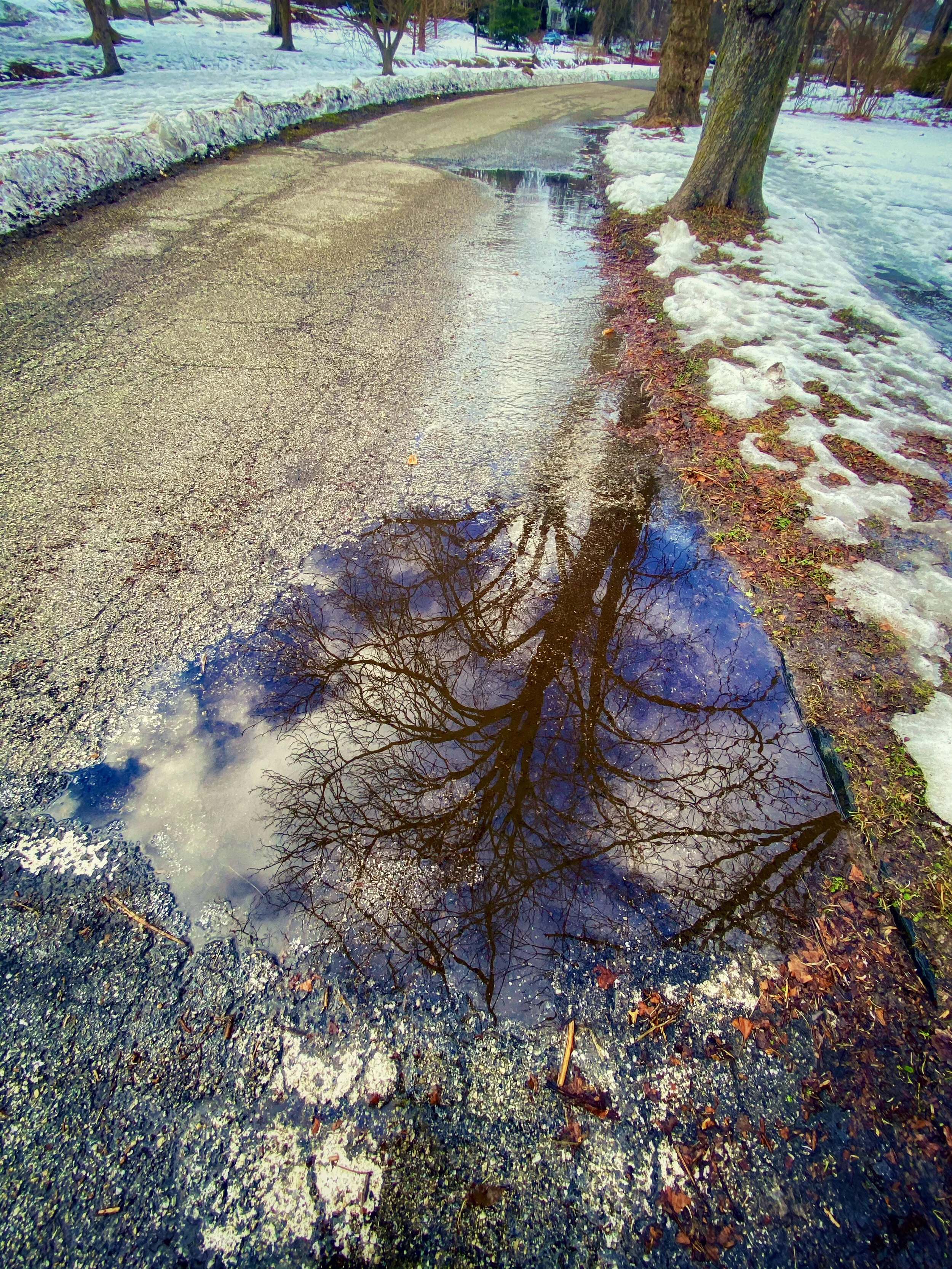 021621 Narbrook Park