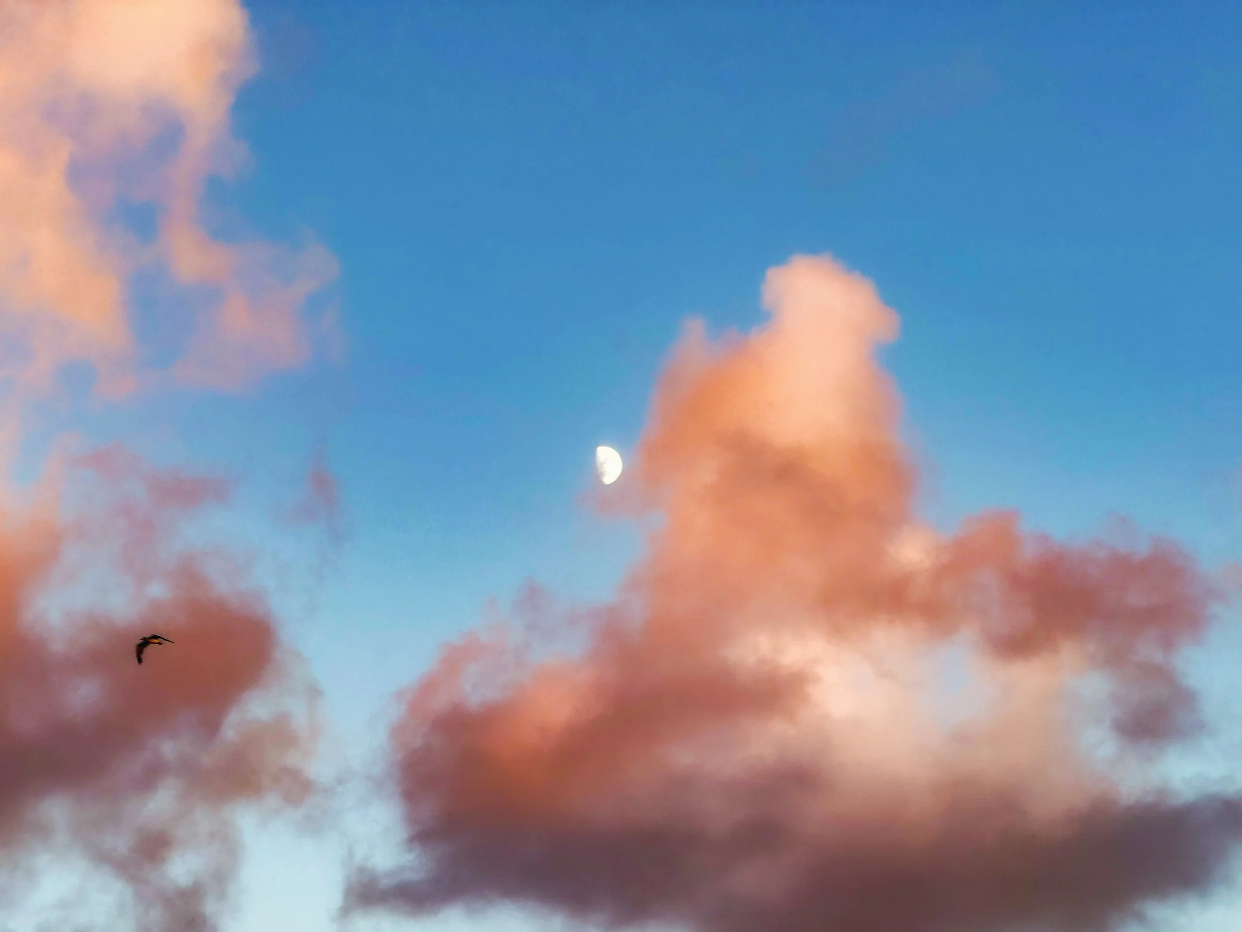 B27D57DF-BD33-4C43-863E-416FB0FABEFF.jpeg