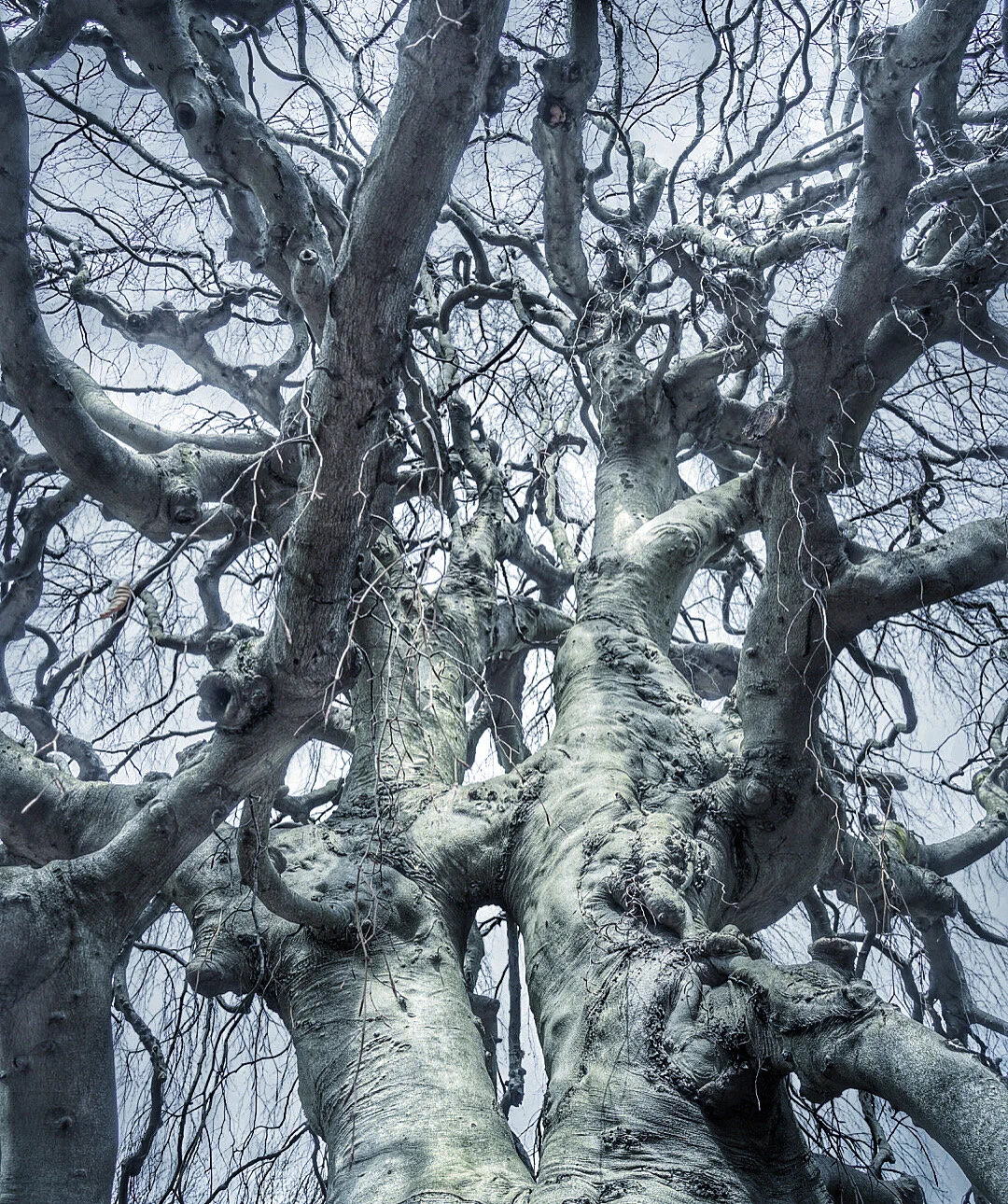Reaching
041021