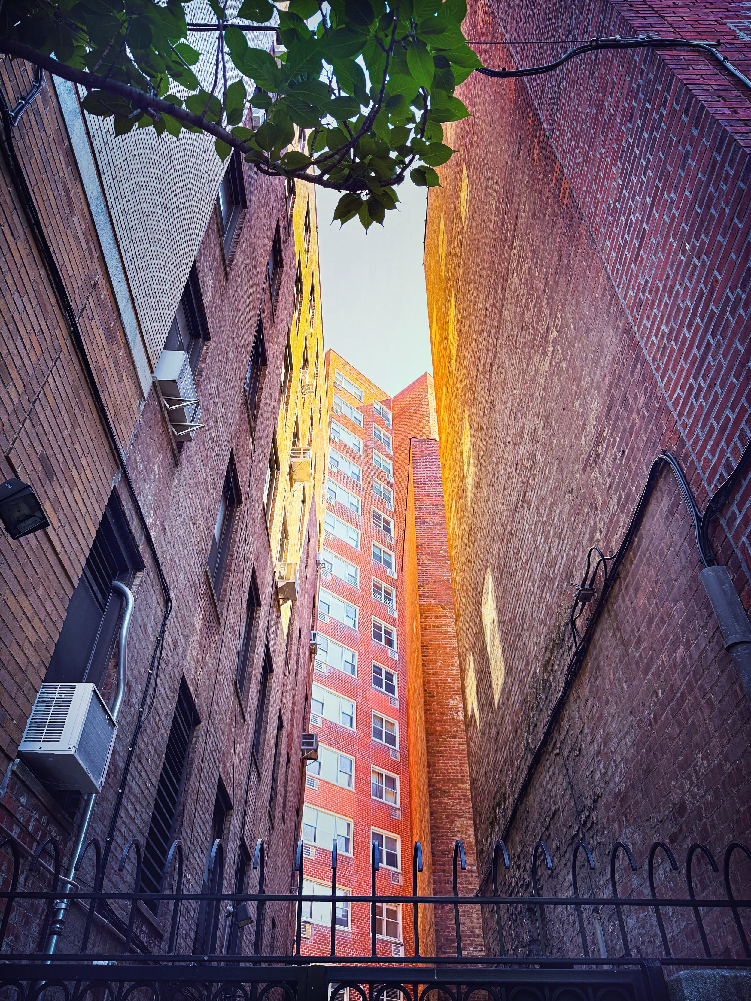E16EFE56-5C4D-43D2-A9E2-61C5180F6C7E.jpeg