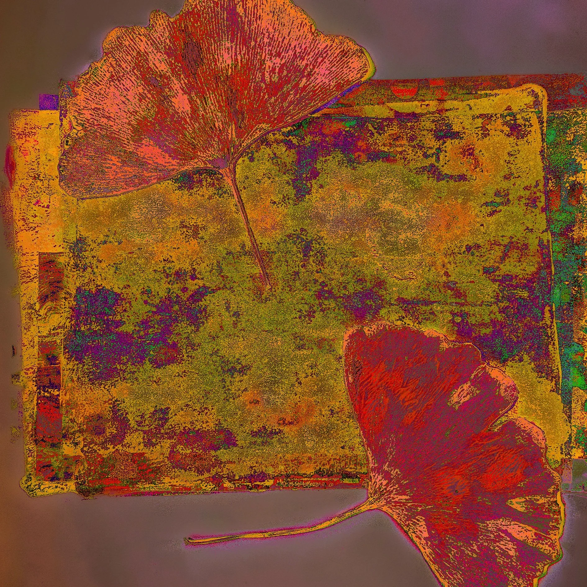 5139A752-0CDA-4624-9A28-AEB0D00E9883.jpeg