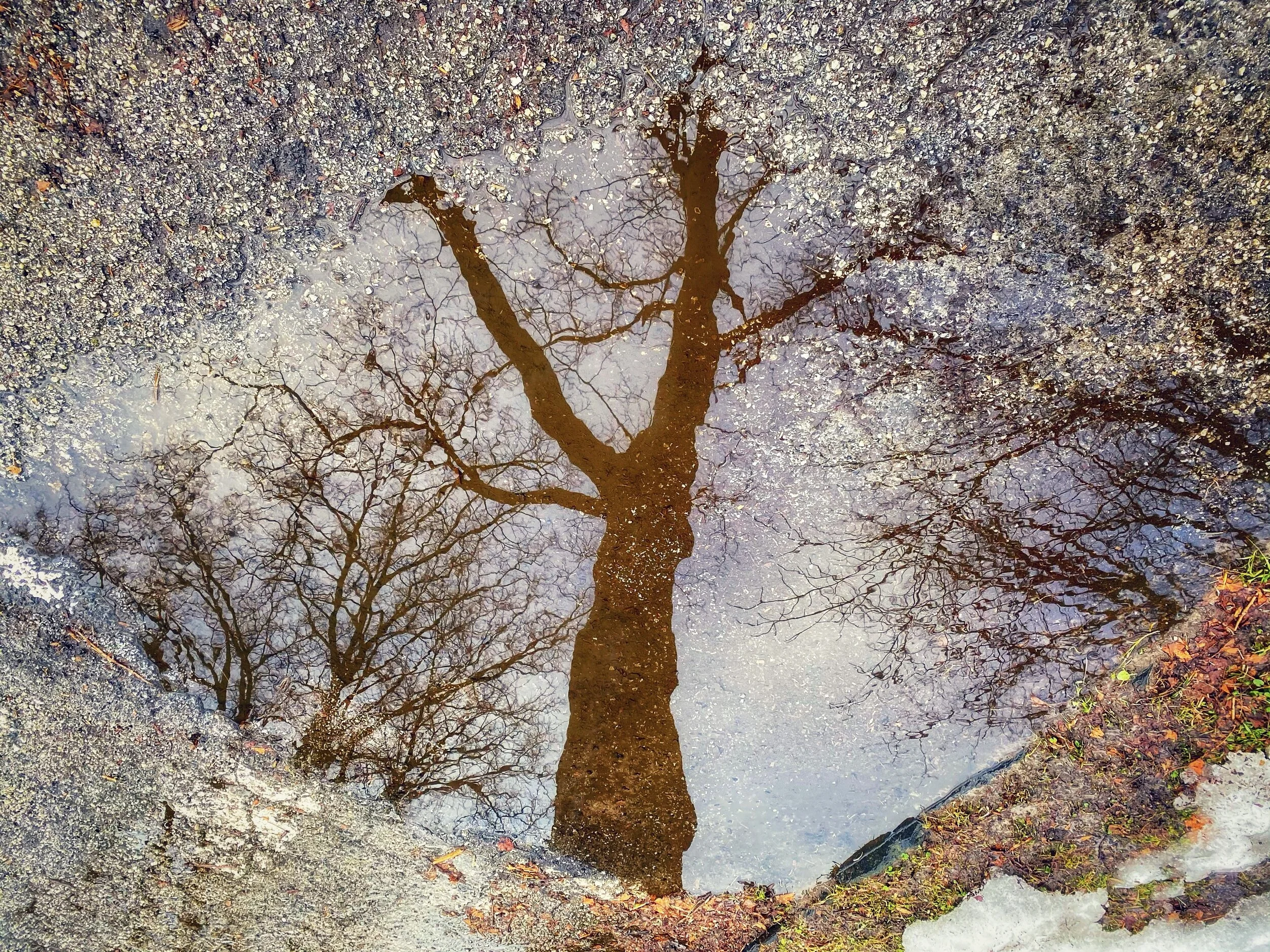 021621 Narbrook Park