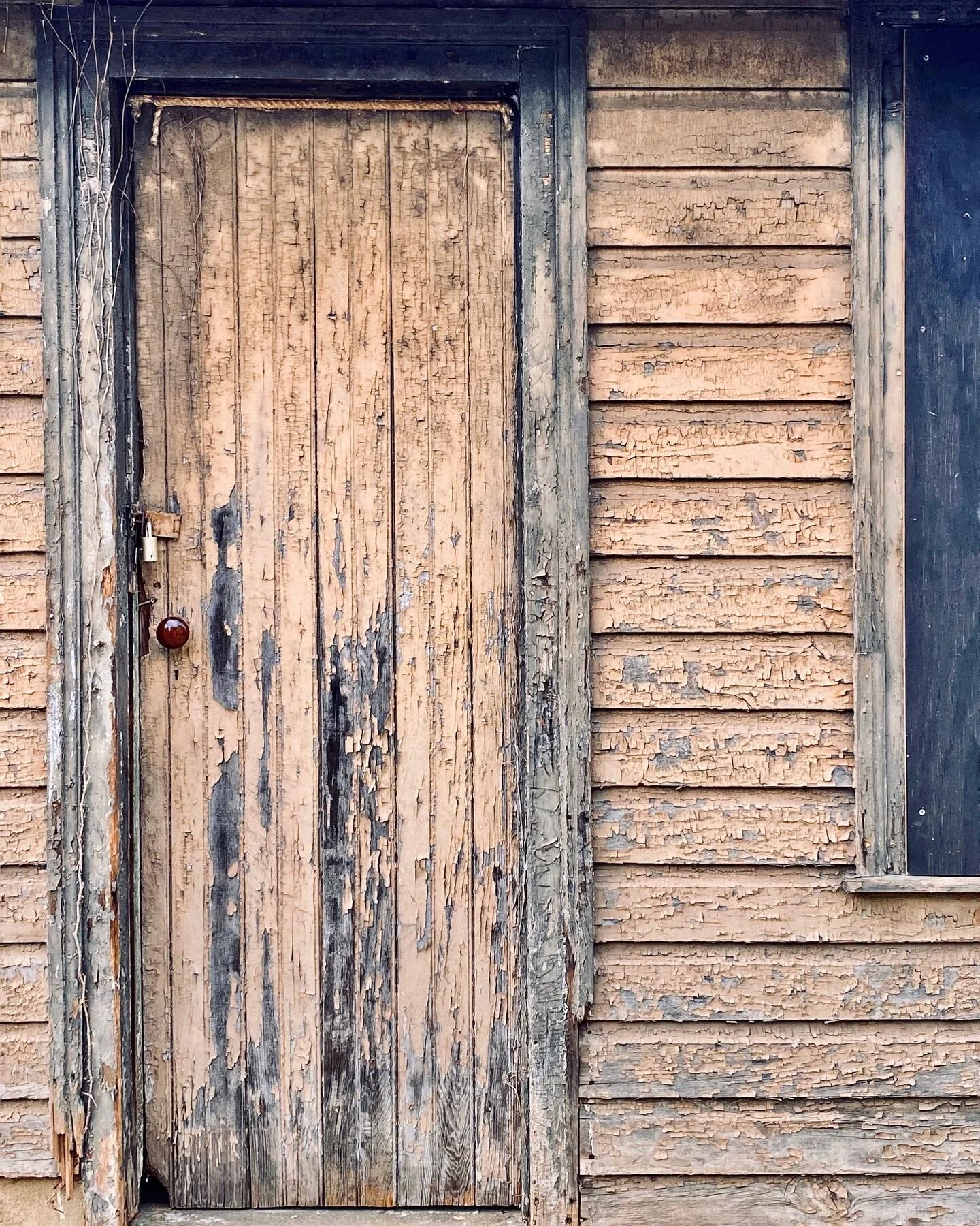 Ashbridge Park
032321