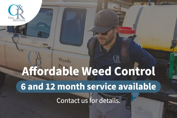 920777_C & R Pest Services Coupons_4_121420.jpg