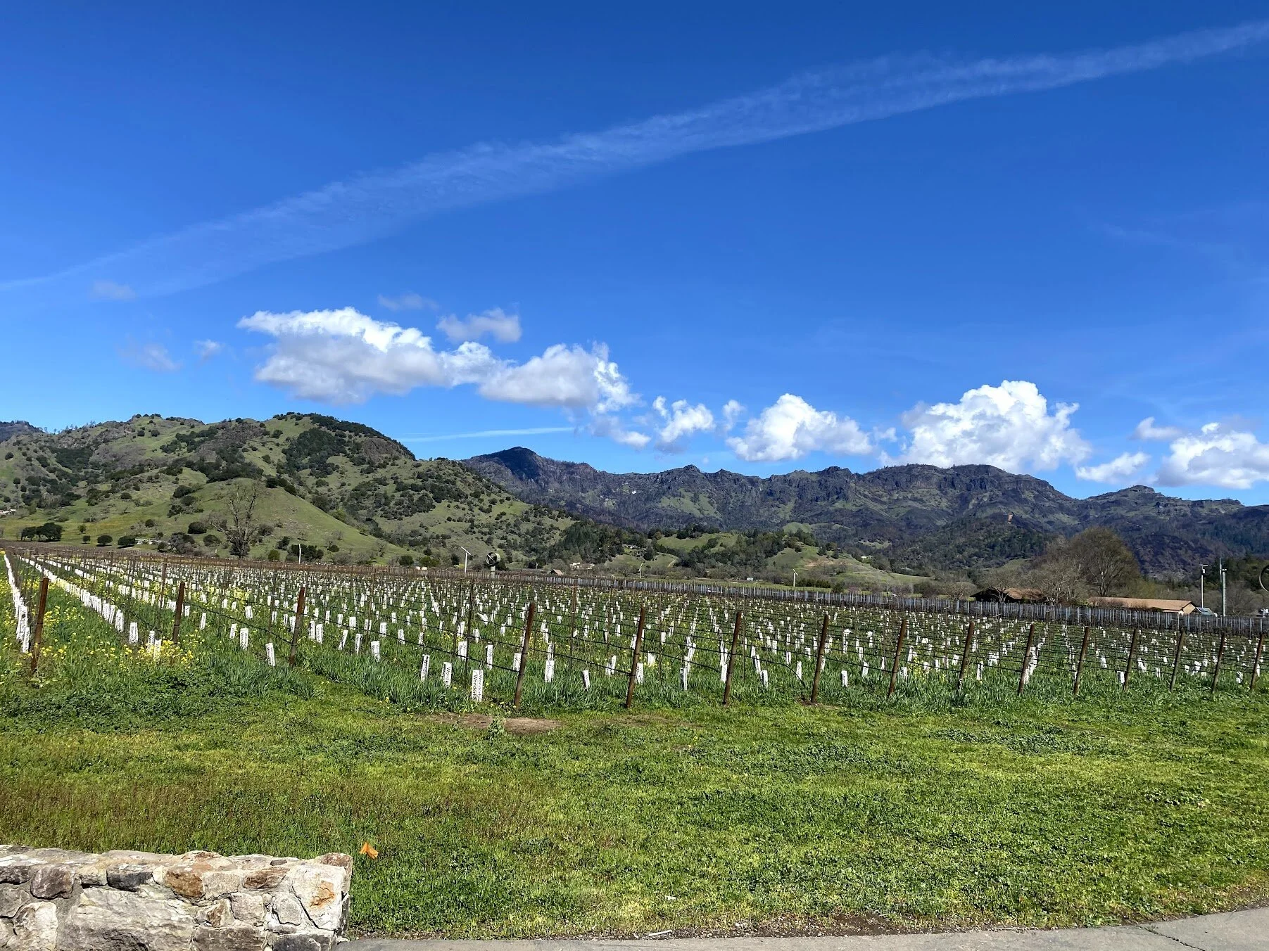 The Spire Collection