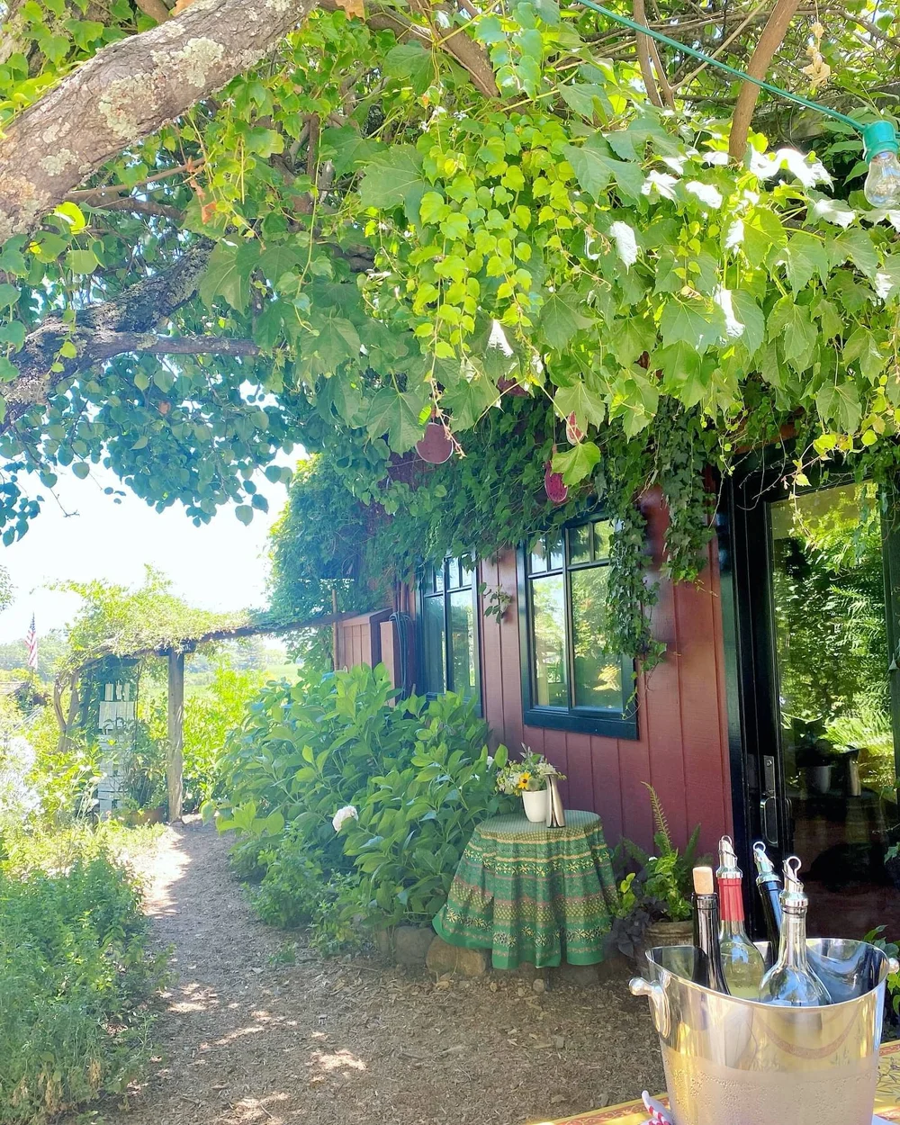 This place makes you feel like you are transported to a small rural wine region 💫 Away from the main road, you will find this boutique family owned winery with a line up of unique varietals. (Have you heard of Picpoul Blanc?!!) 

Tasting started wit