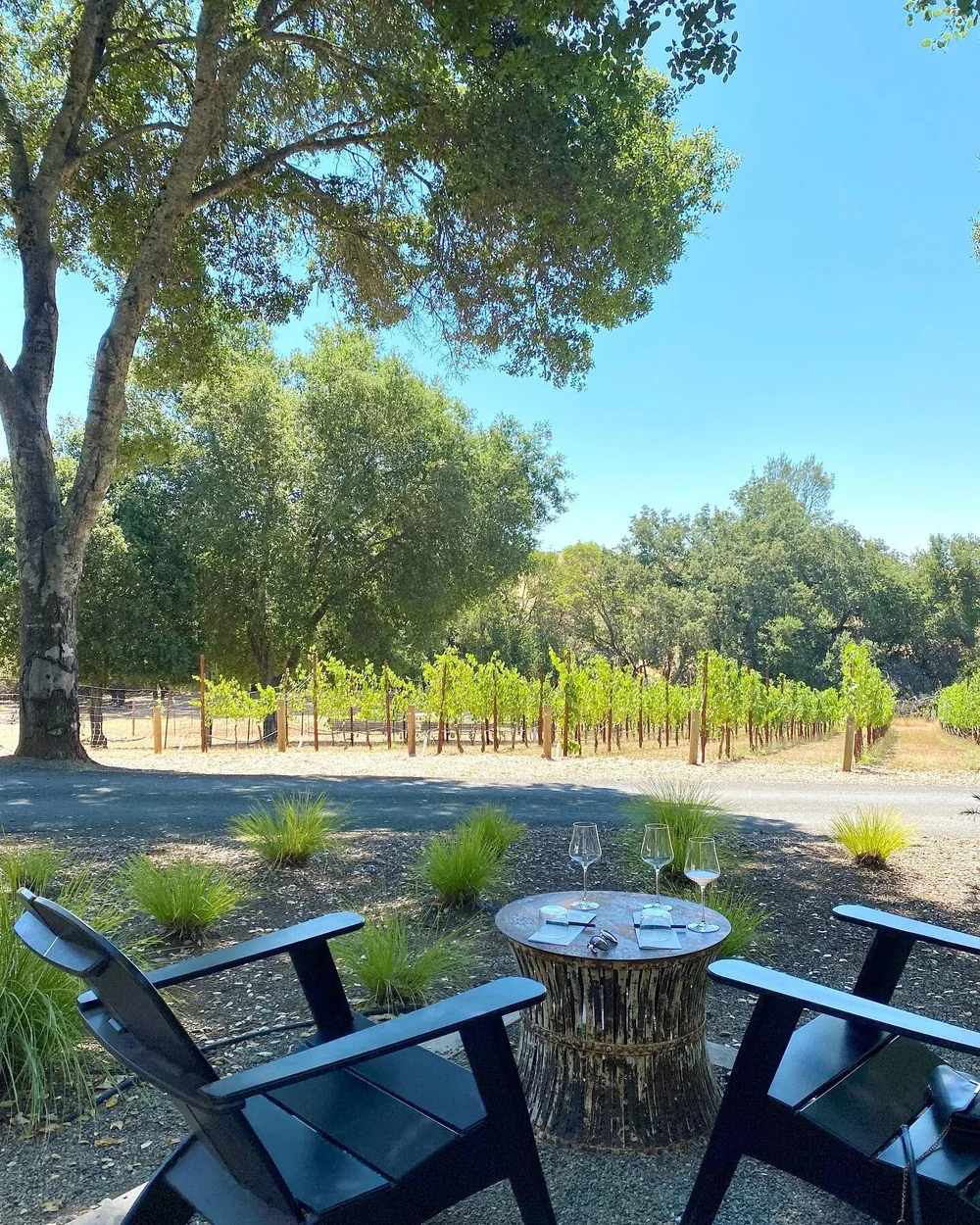 Found a little gem in Healdsburg 🥰

Was delighted by this adorable setting, and then found out tastings come with wood fired pizza on weekends! I mean&hellip;😍 and every single wine we tasted were so good! Added another winery to our membership lis