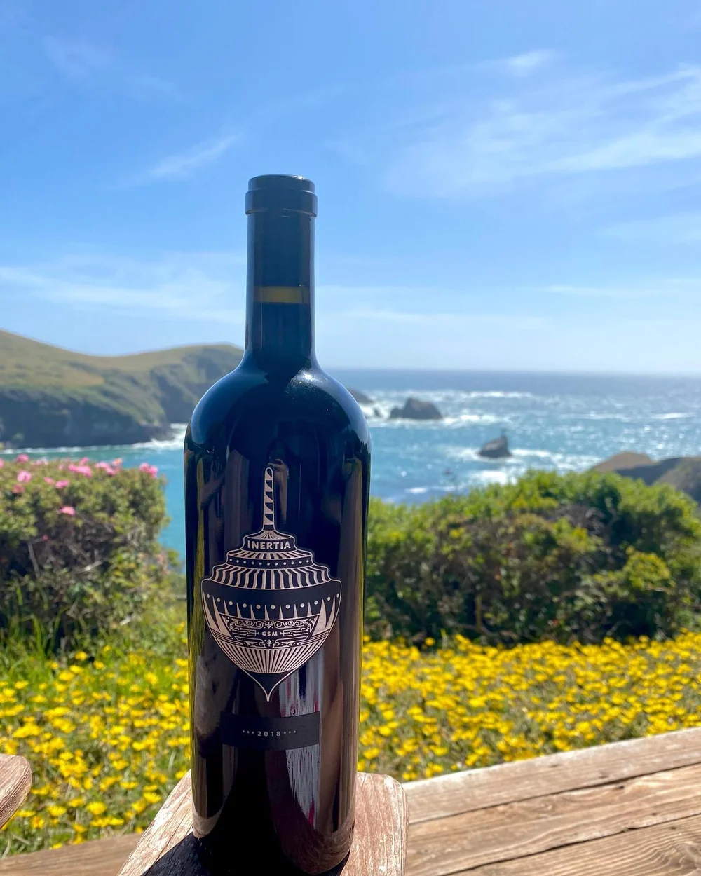 Brought this amazing bottle to enjoy with this view 🥰 From a new boutique winery in Paso founded by a wine loving couple! Small line up as wines tend to sell out but got to taste three of their amazing wines. 

📍: @topwinery 
🍷: tasted Grenache, G