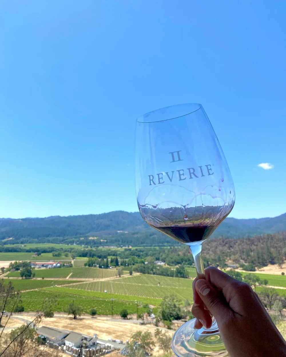 Super chill and inviting tasting room! Bonus points for this view and a great #cabfranc 😍😆 

Heard Cab Francs are getting sold out everywhere in Napa, go get them before they are gone! Or don&rsquo;t&hellip; so I can get them 🤣

📍: @reverie_wine 