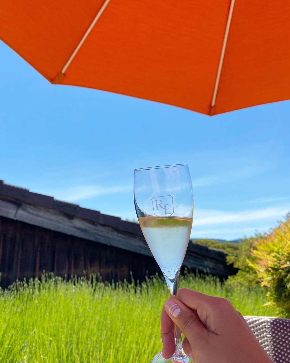 I&rsquo;ve been trying to better understand my preferences for sparkling wines so added Roederer to the list for my trip to Mendocino

Tasting flight includes a side by side of the same blend in a regular bottle vs. Magnum and it was SO FUN to taste 