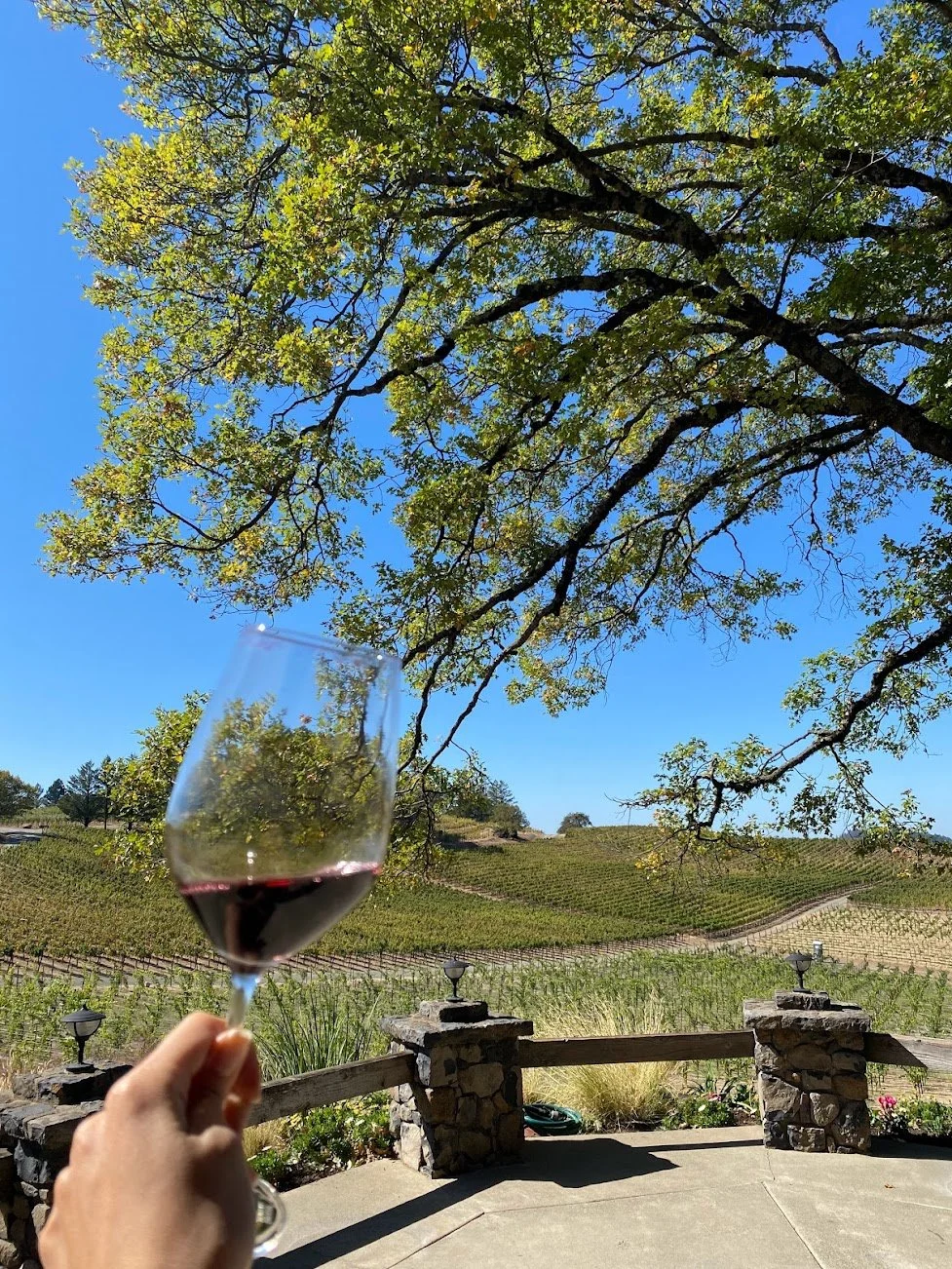 Pride Mountain Vineyards