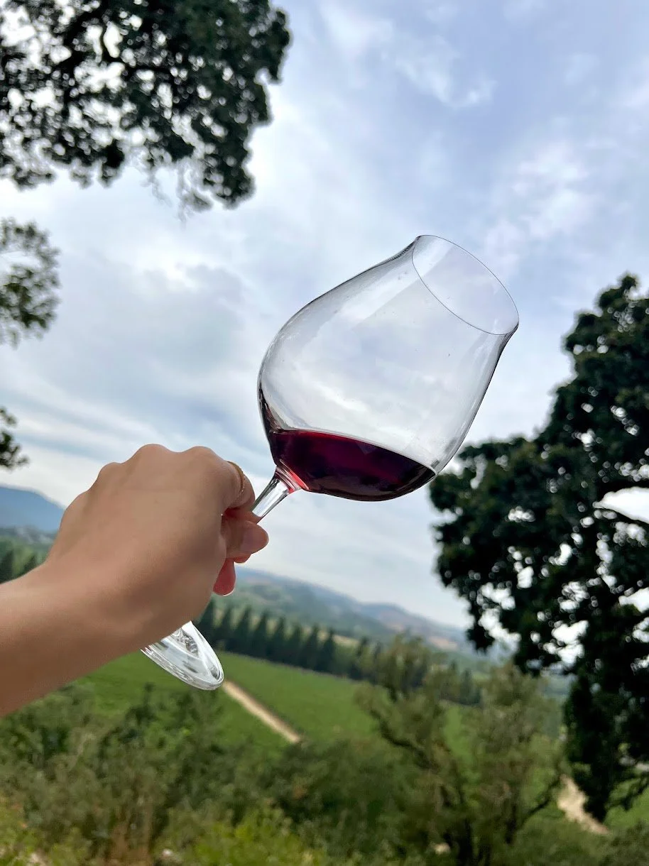 Copain Wines
