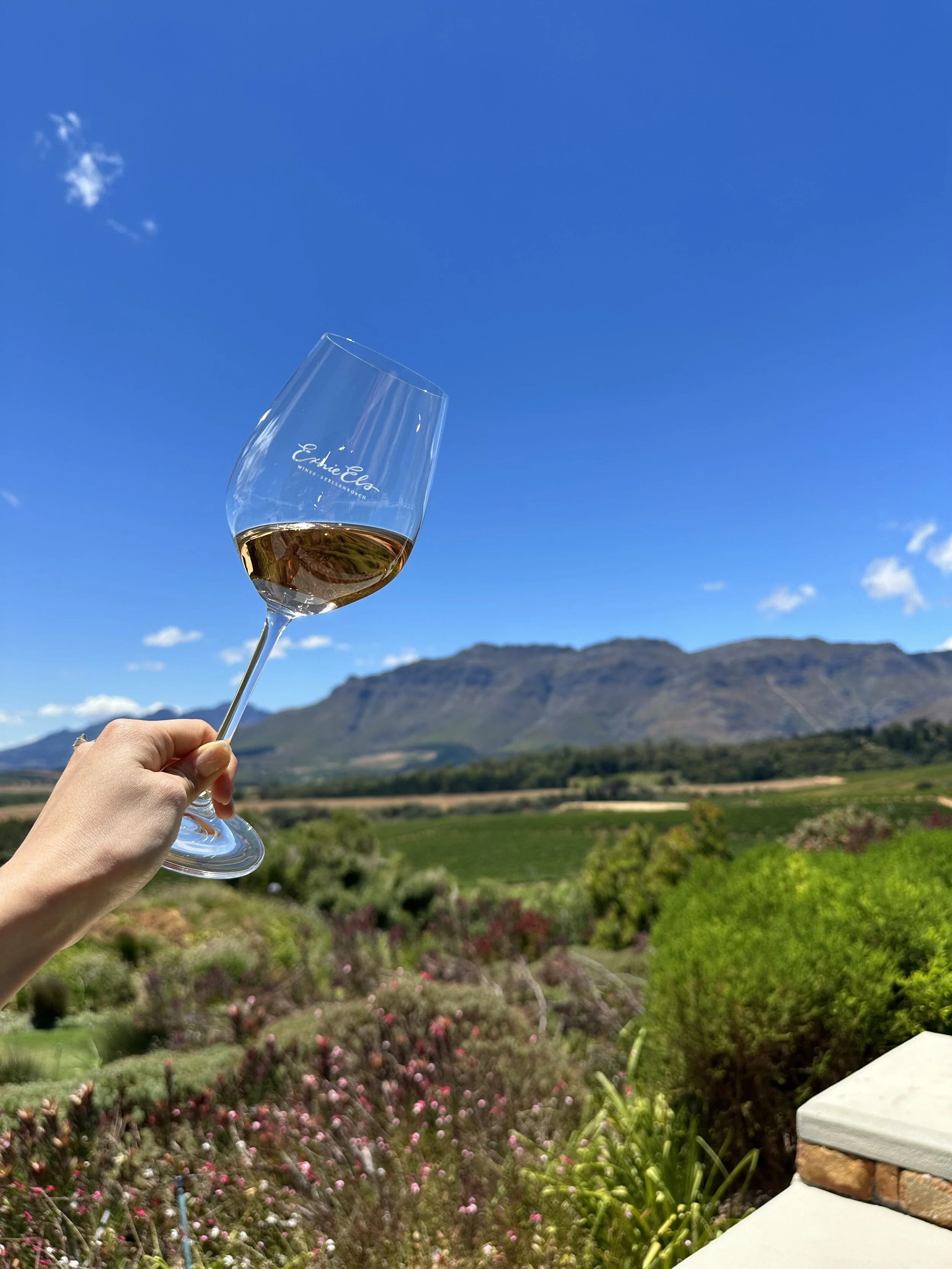 Wine travel guide to Cape Town, South Africa - Stellenbosch, Franschhoek, Hermanus