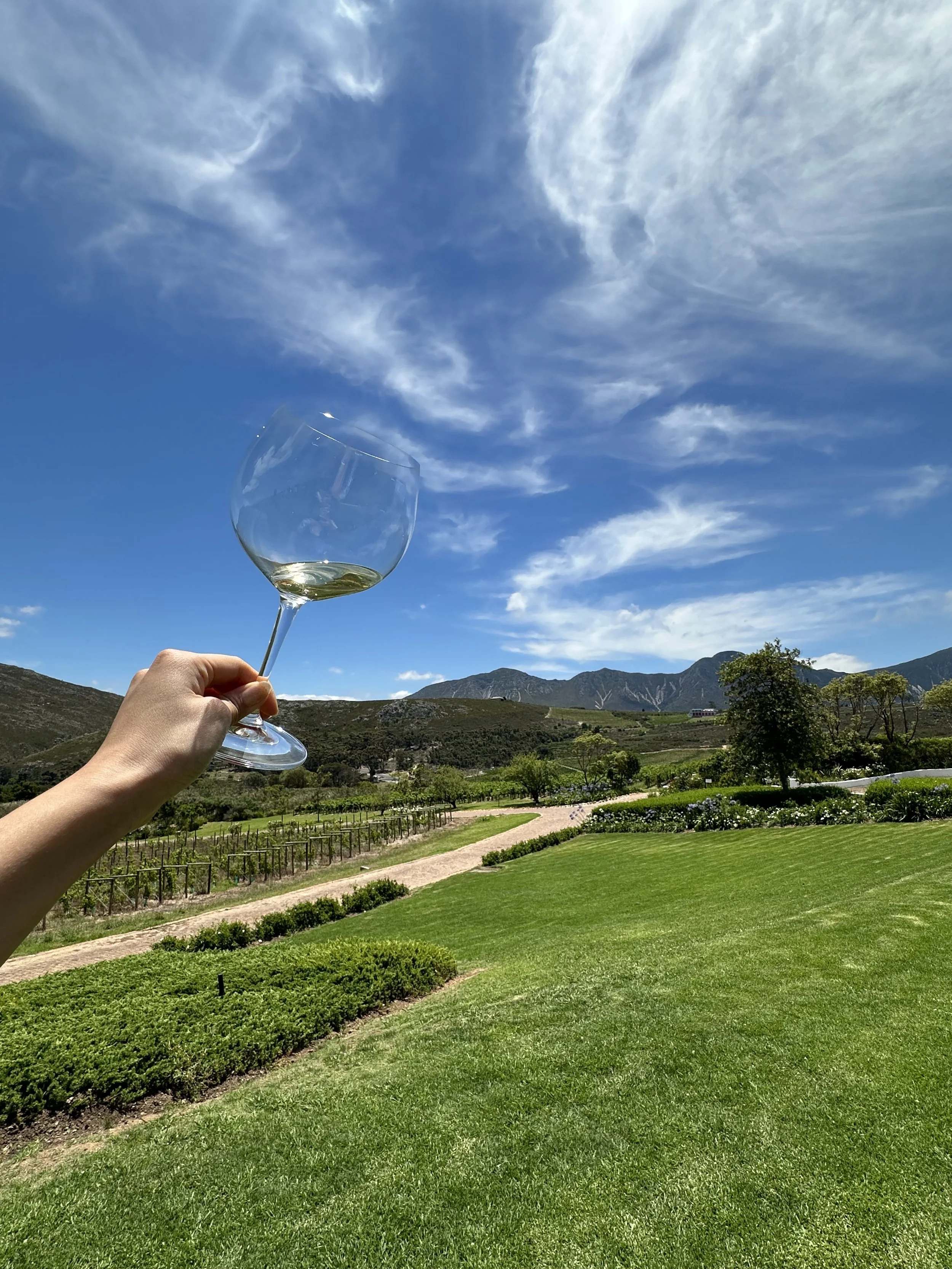 Best wineries to visit in Hemel-en-Aarde, Hermanus
