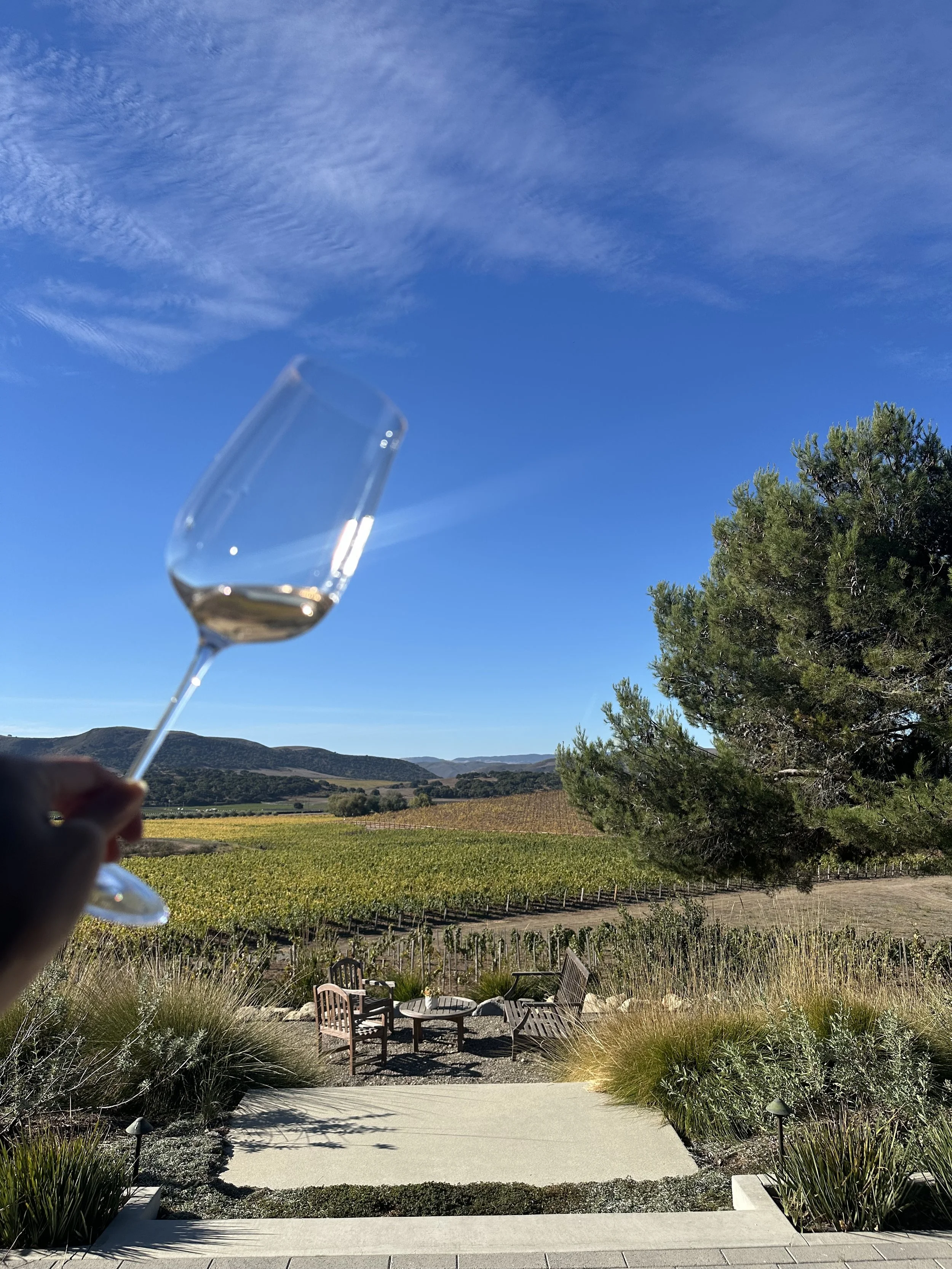Tyler Winery Mae Estate