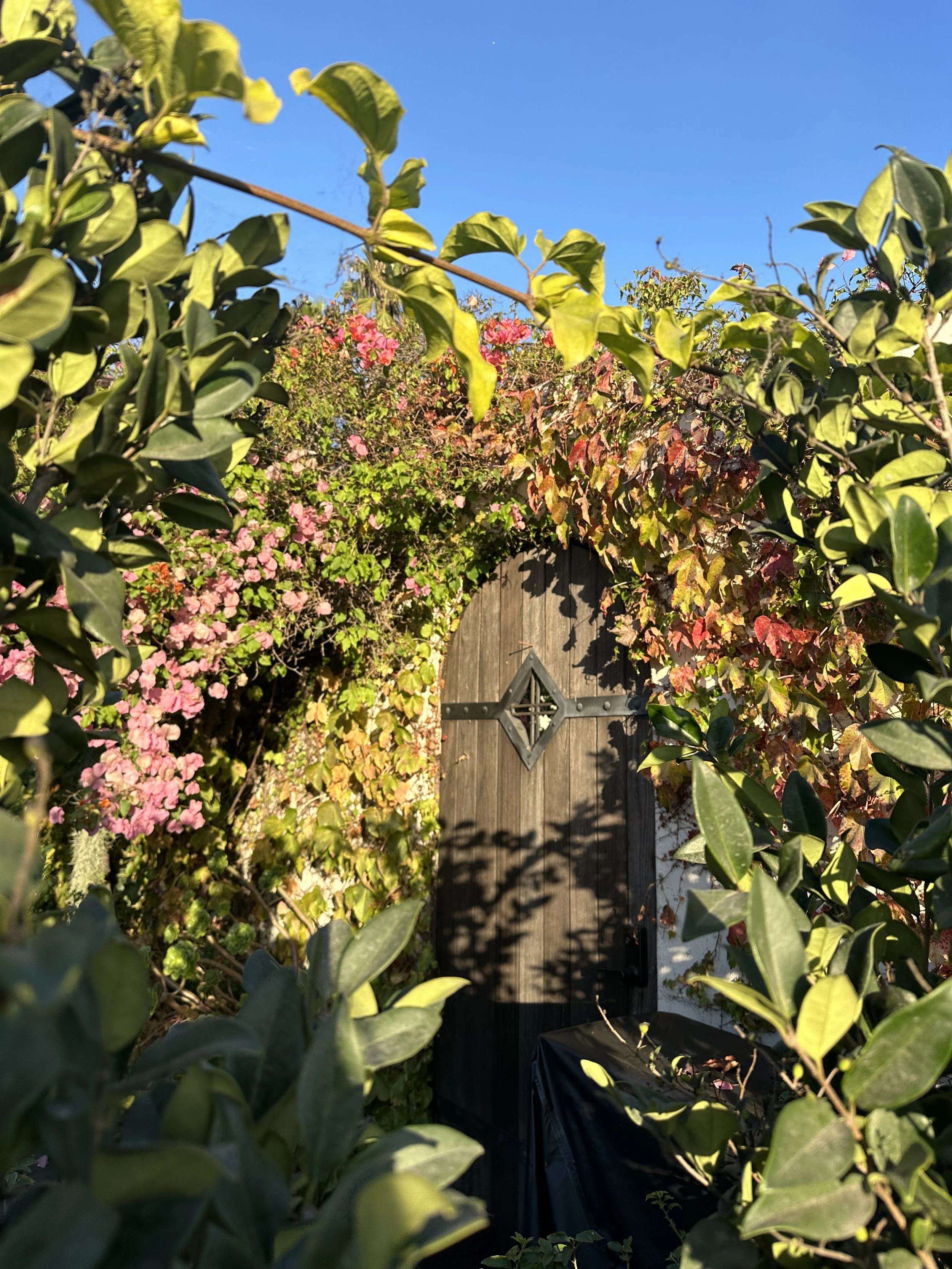 Best things to do in Santa Barbara: Itinerary for wine lovers